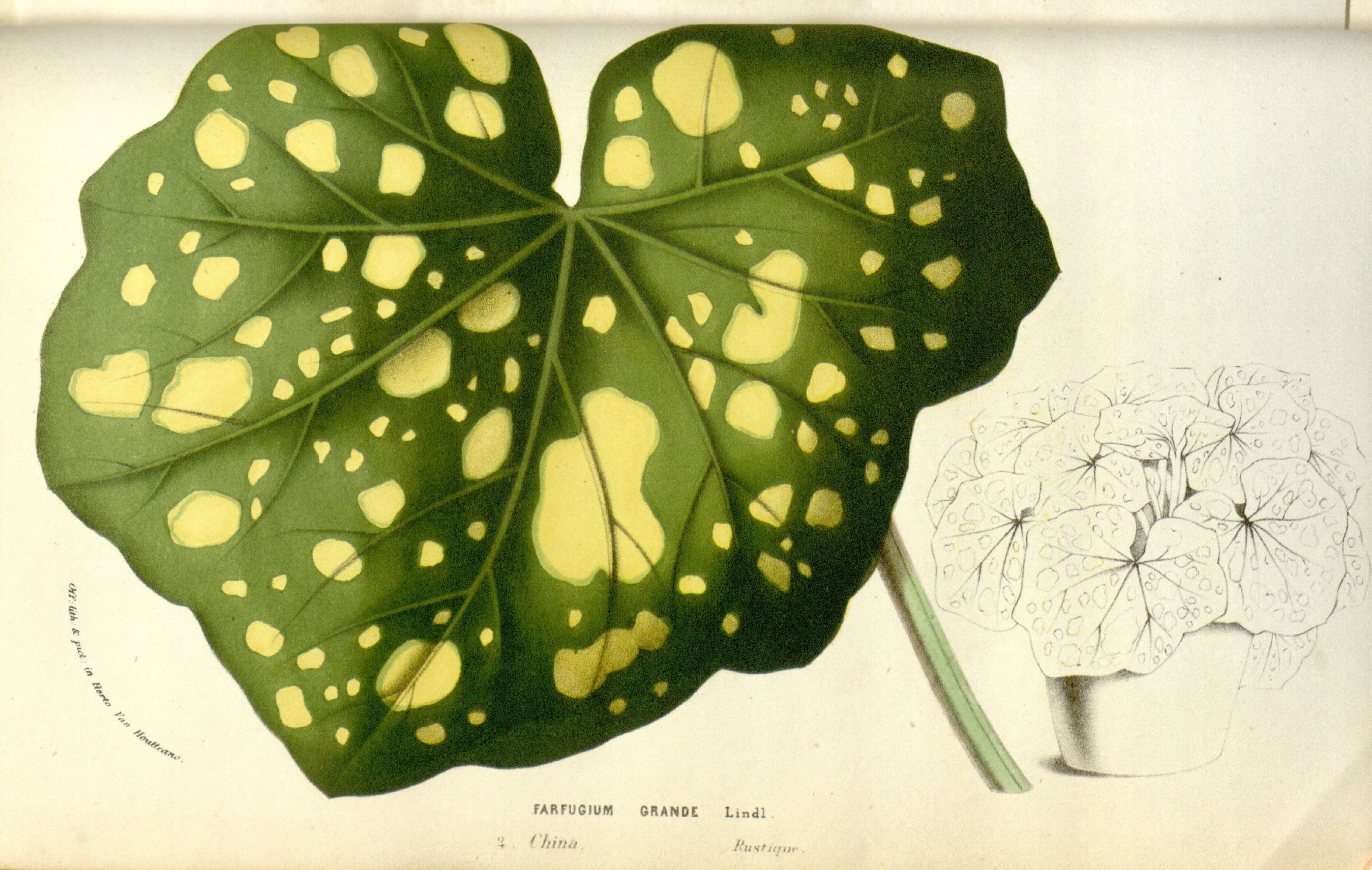 no full size  illustration available (3a)