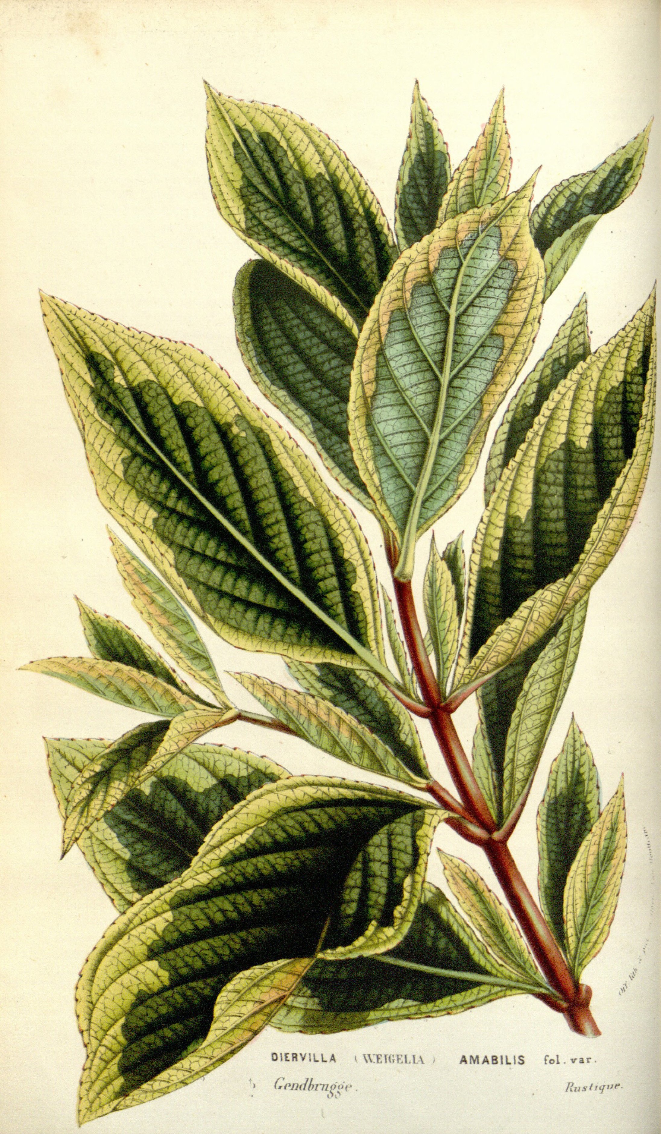 no full size  illustration available (3a)