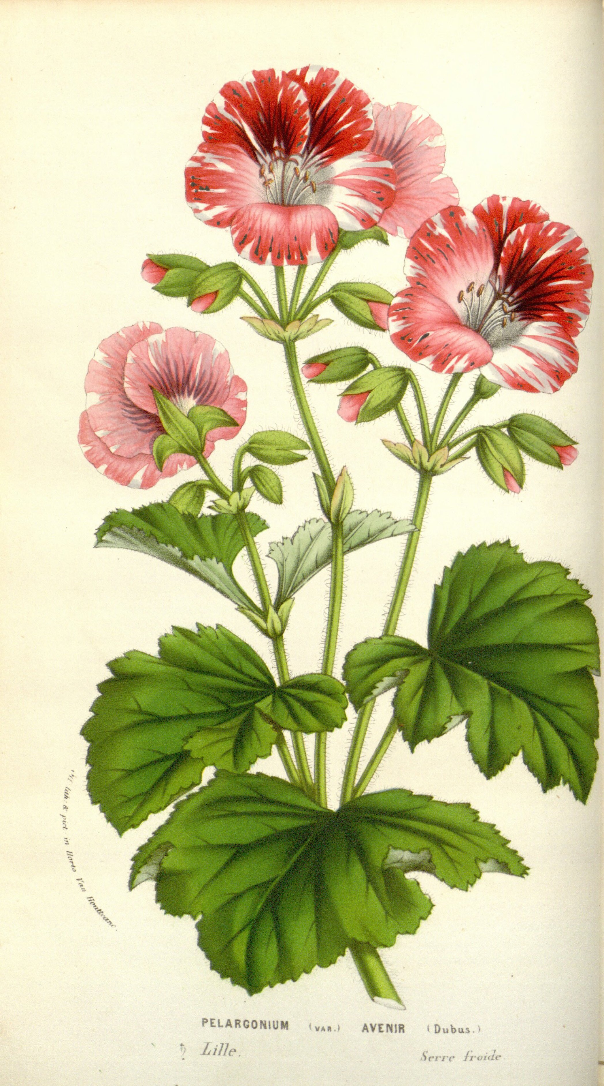 no full size  illustration available (3a)