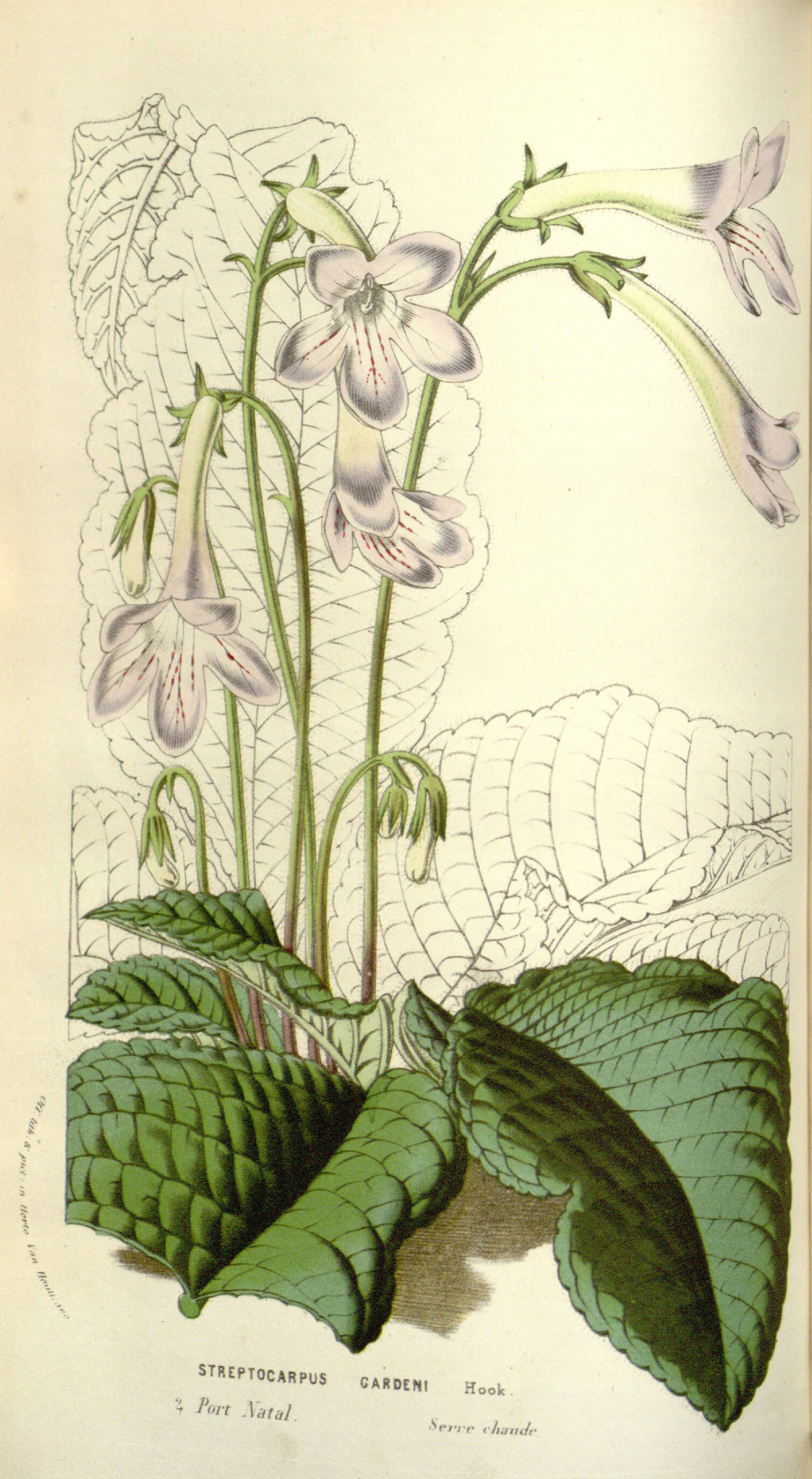 no full size  illustration available (3a)