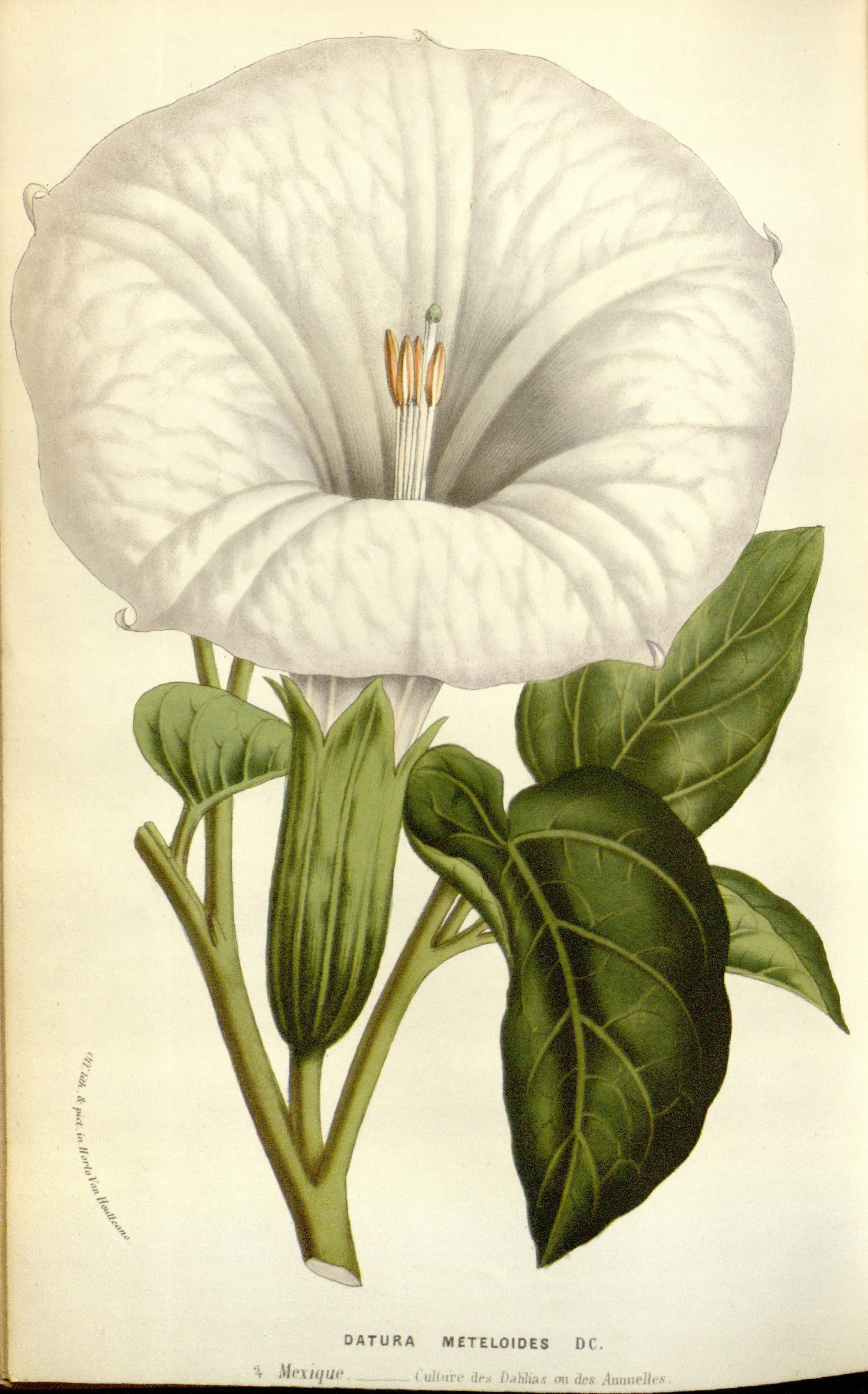 no full size  illustration available (3a)