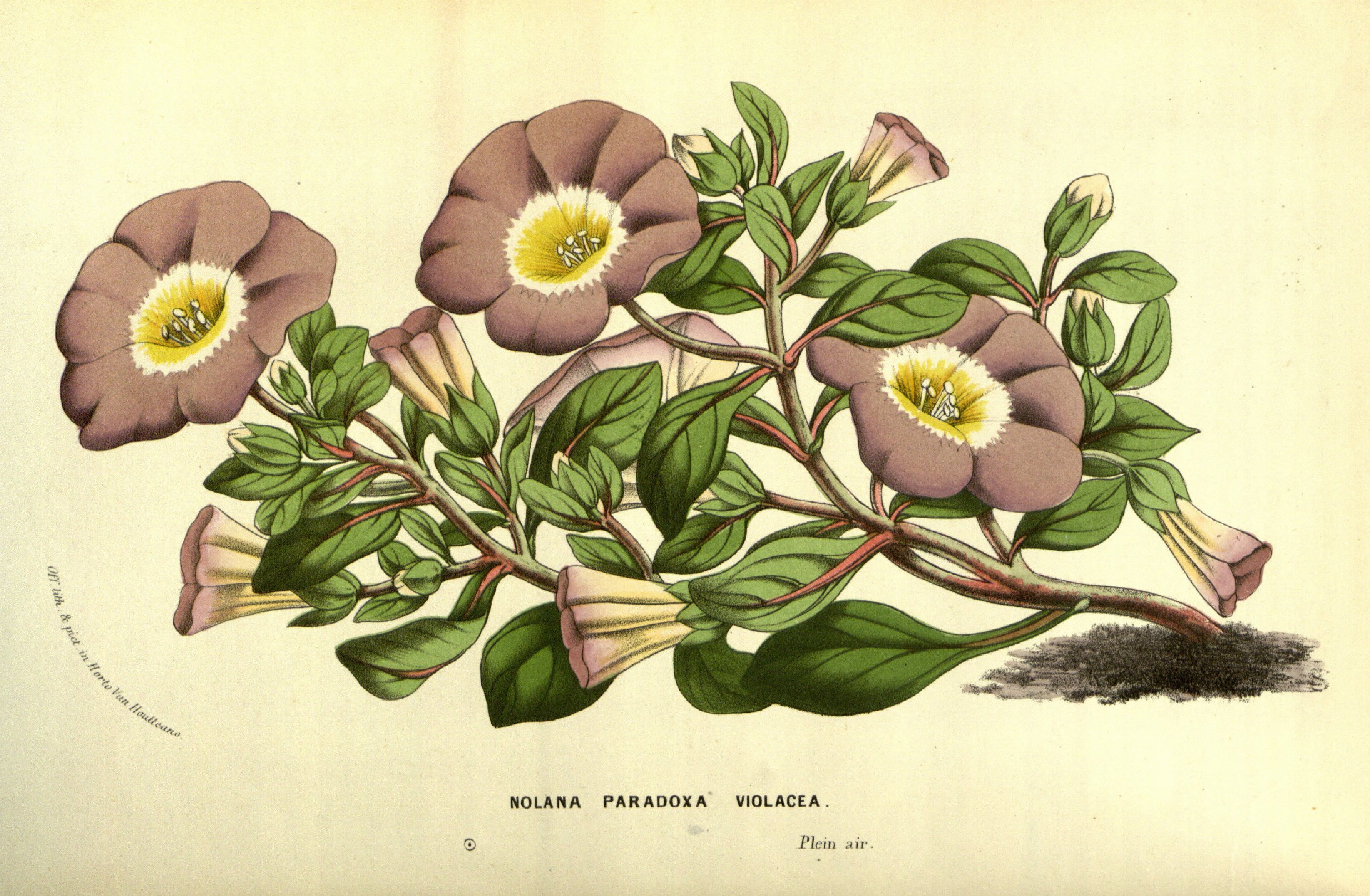 no full size  illustration available (3a)