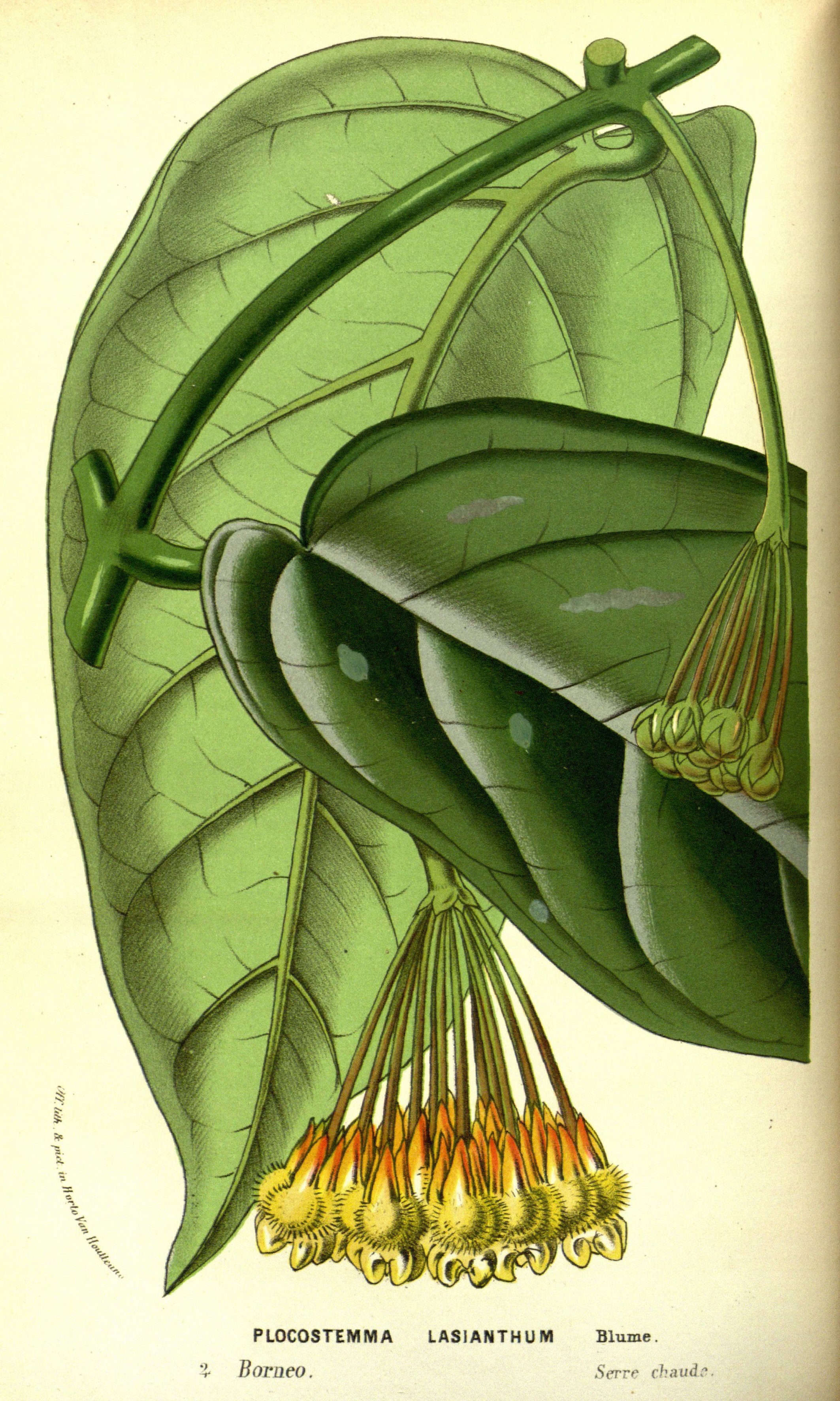 no full size  illustration available (3a)