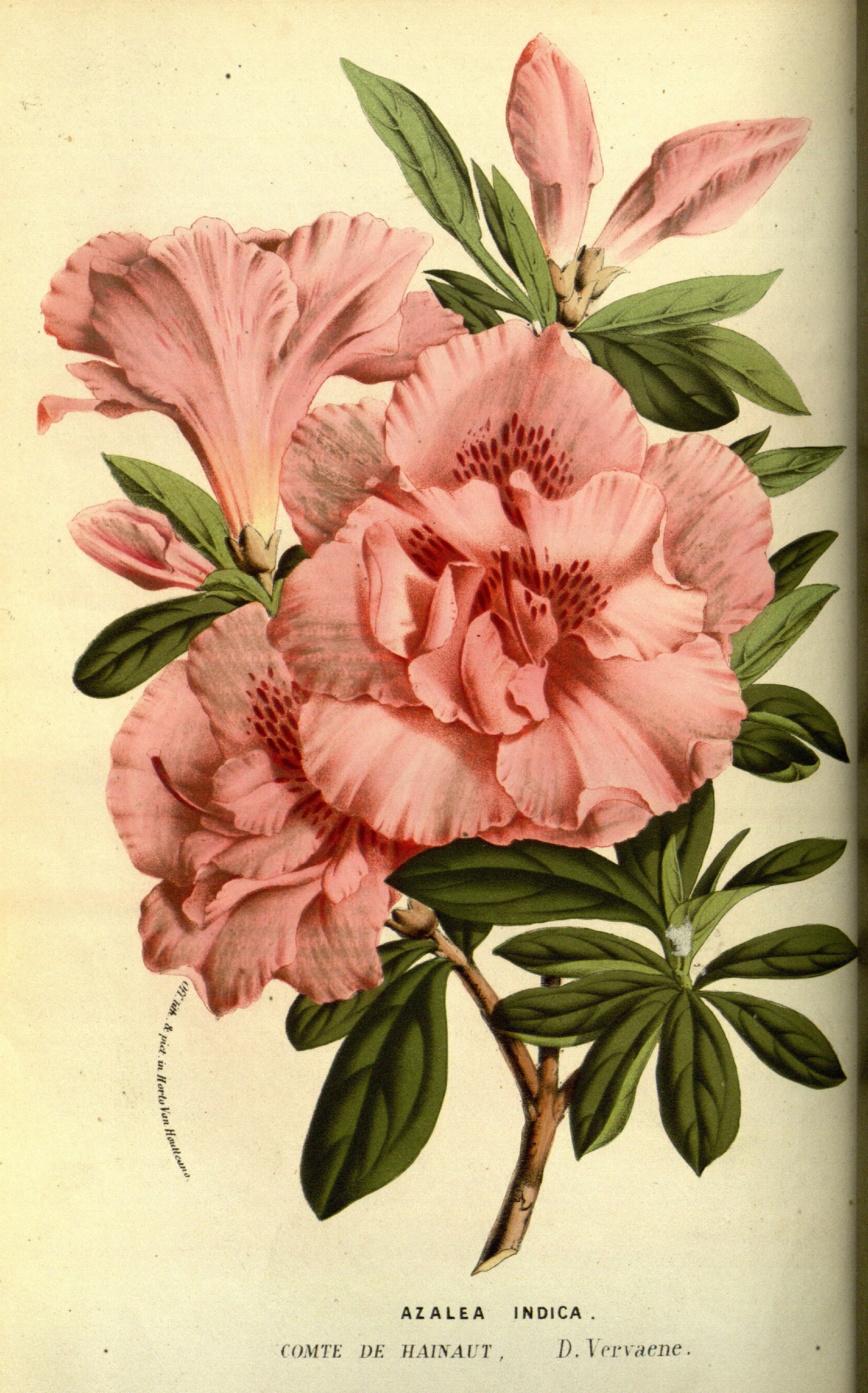 no full size  illustration available (3a)