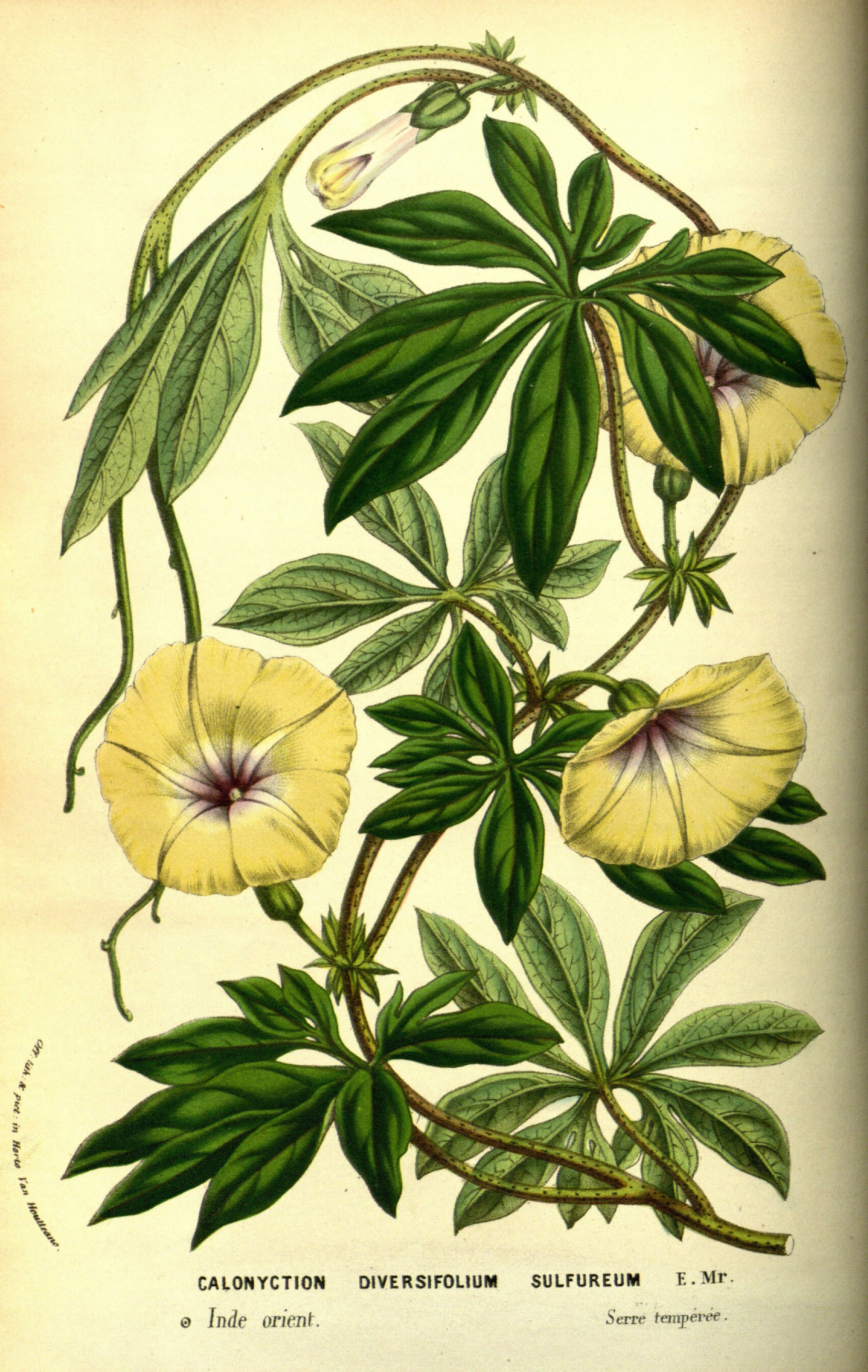 no full size  illustration available (3a)