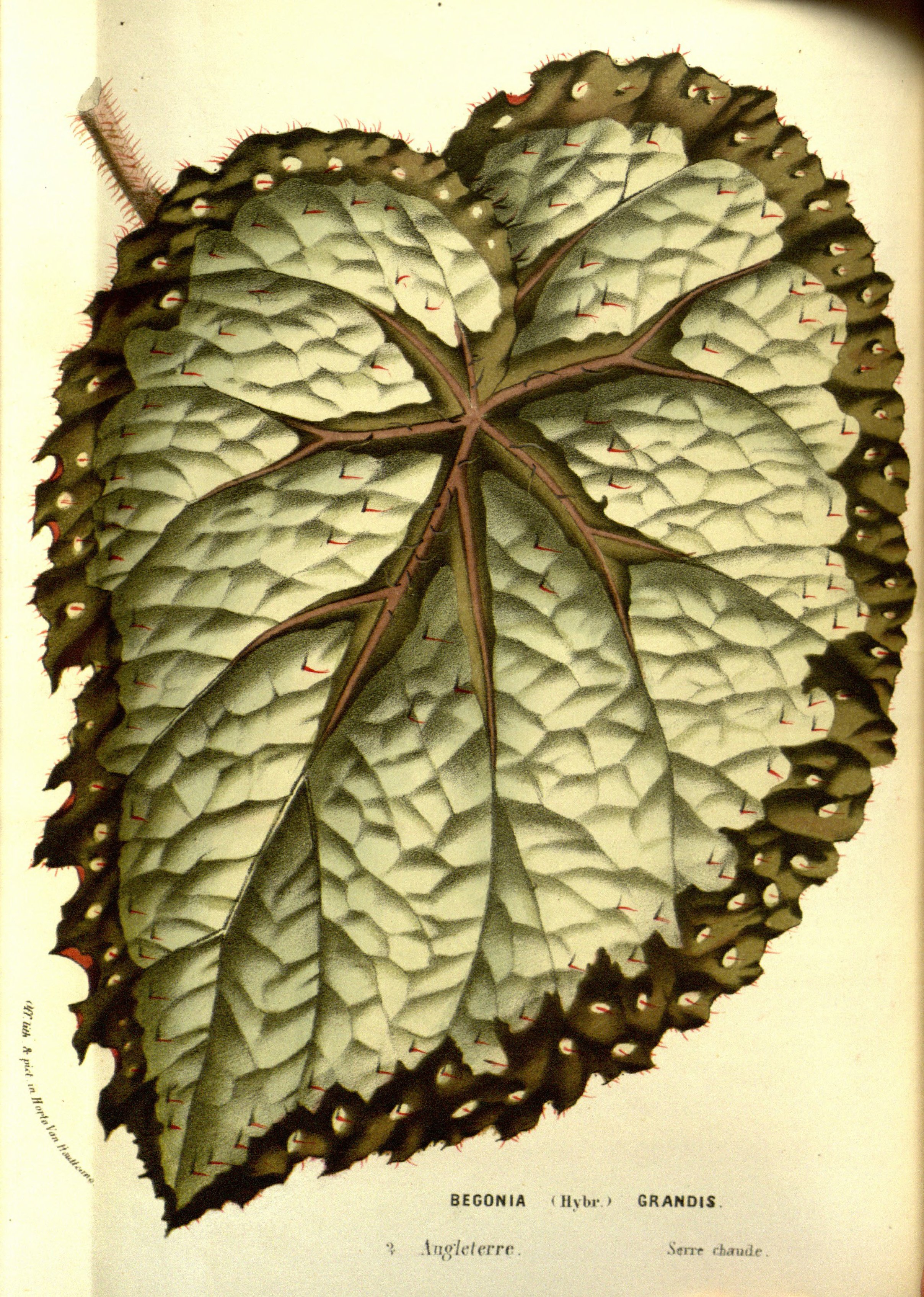 no full size  illustration available (3a)