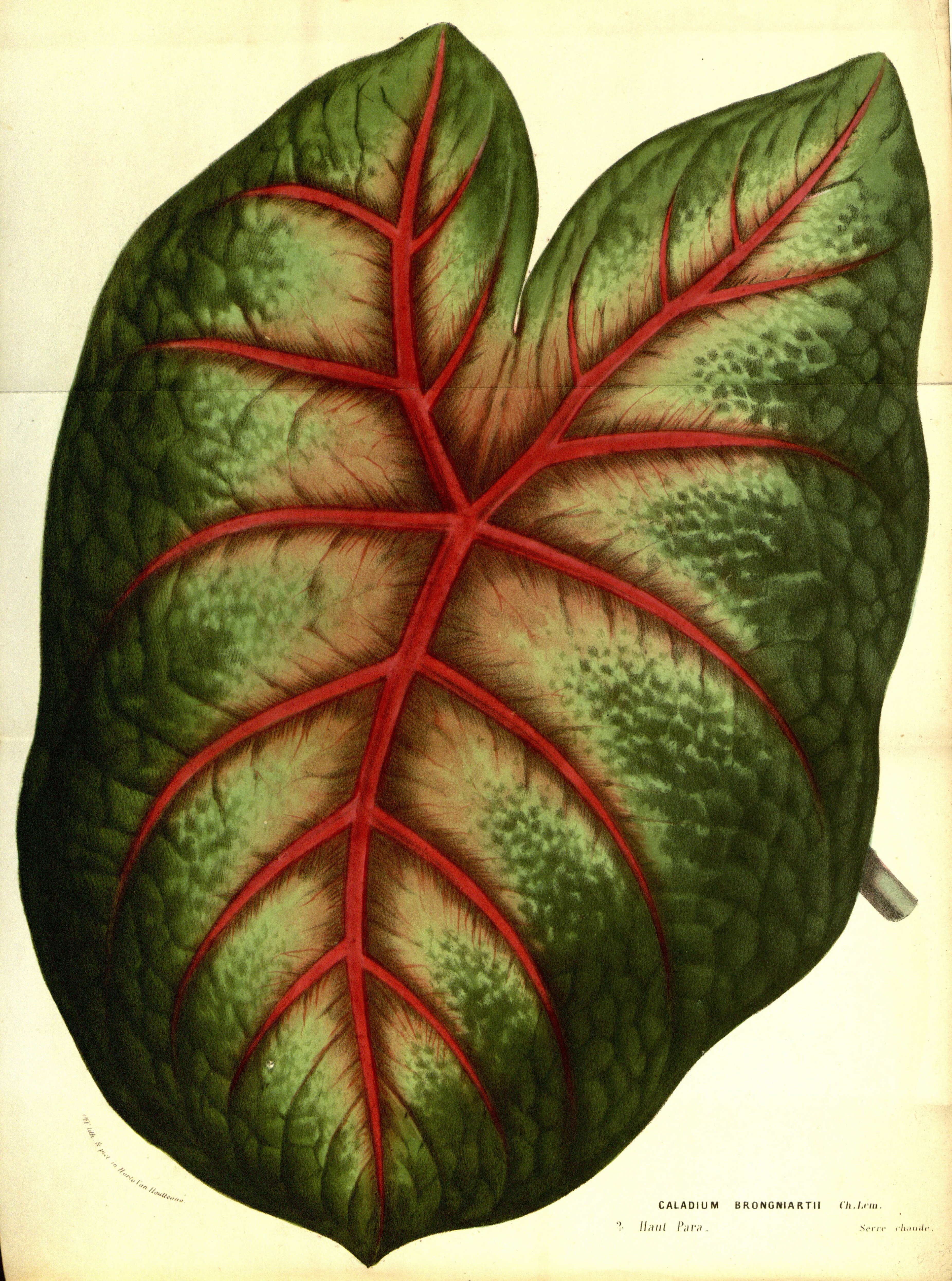 no full size  illustration available (3a)