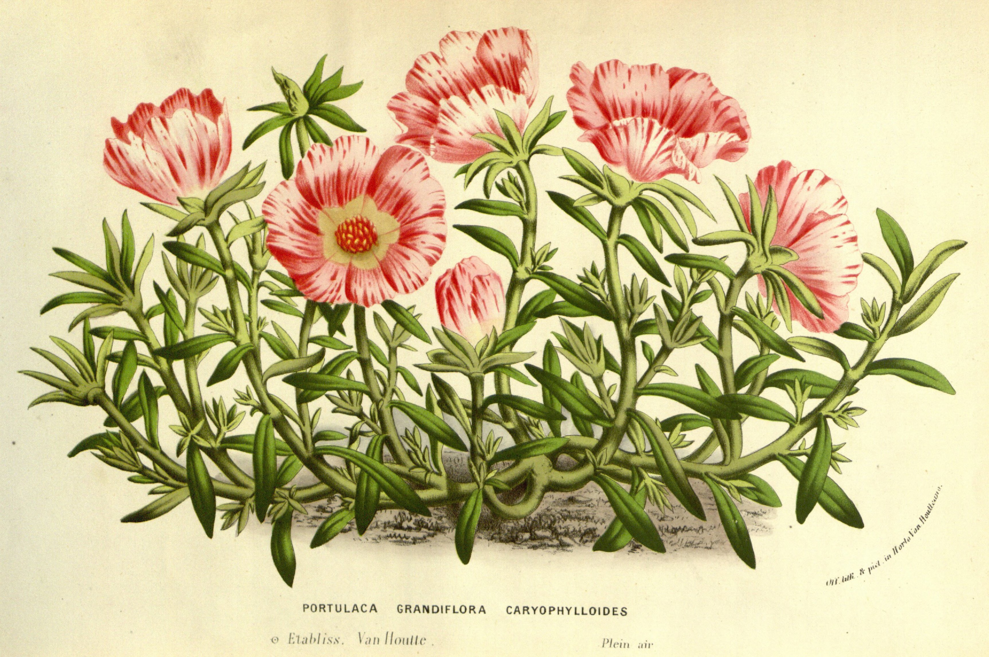 no full size  illustration available (3a)