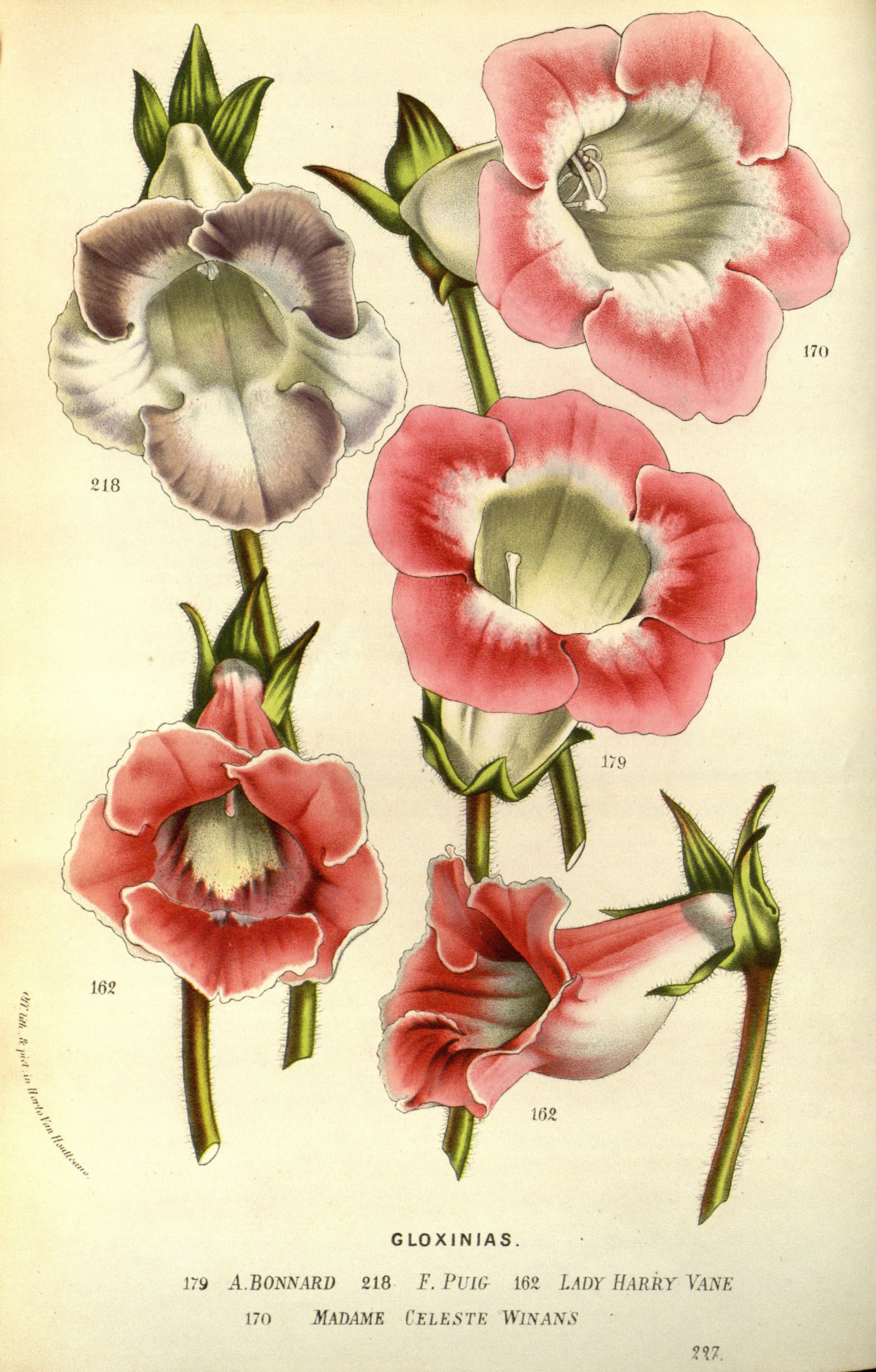 no full size  illustration available (3a)