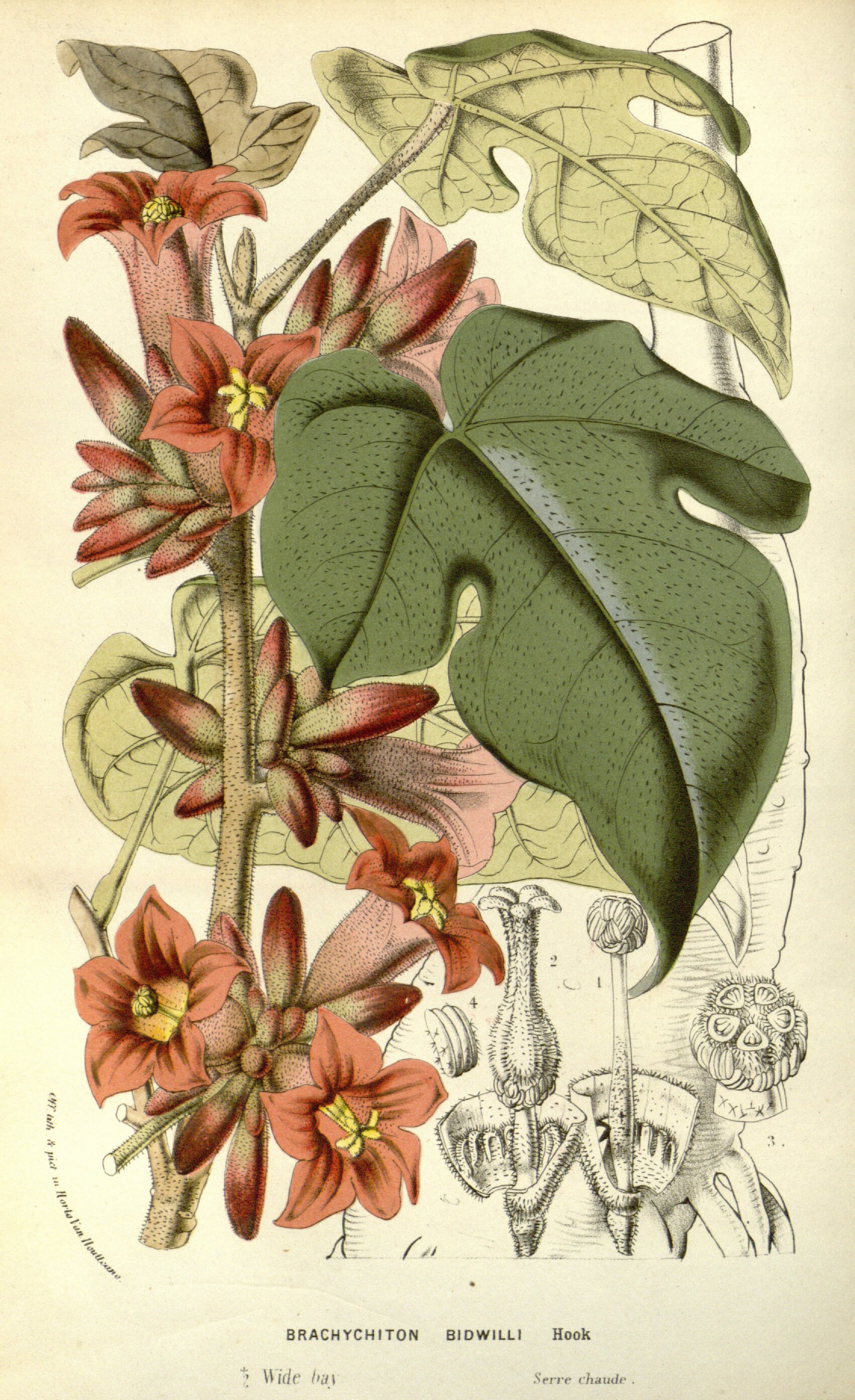 no full size  illustration available (3a)