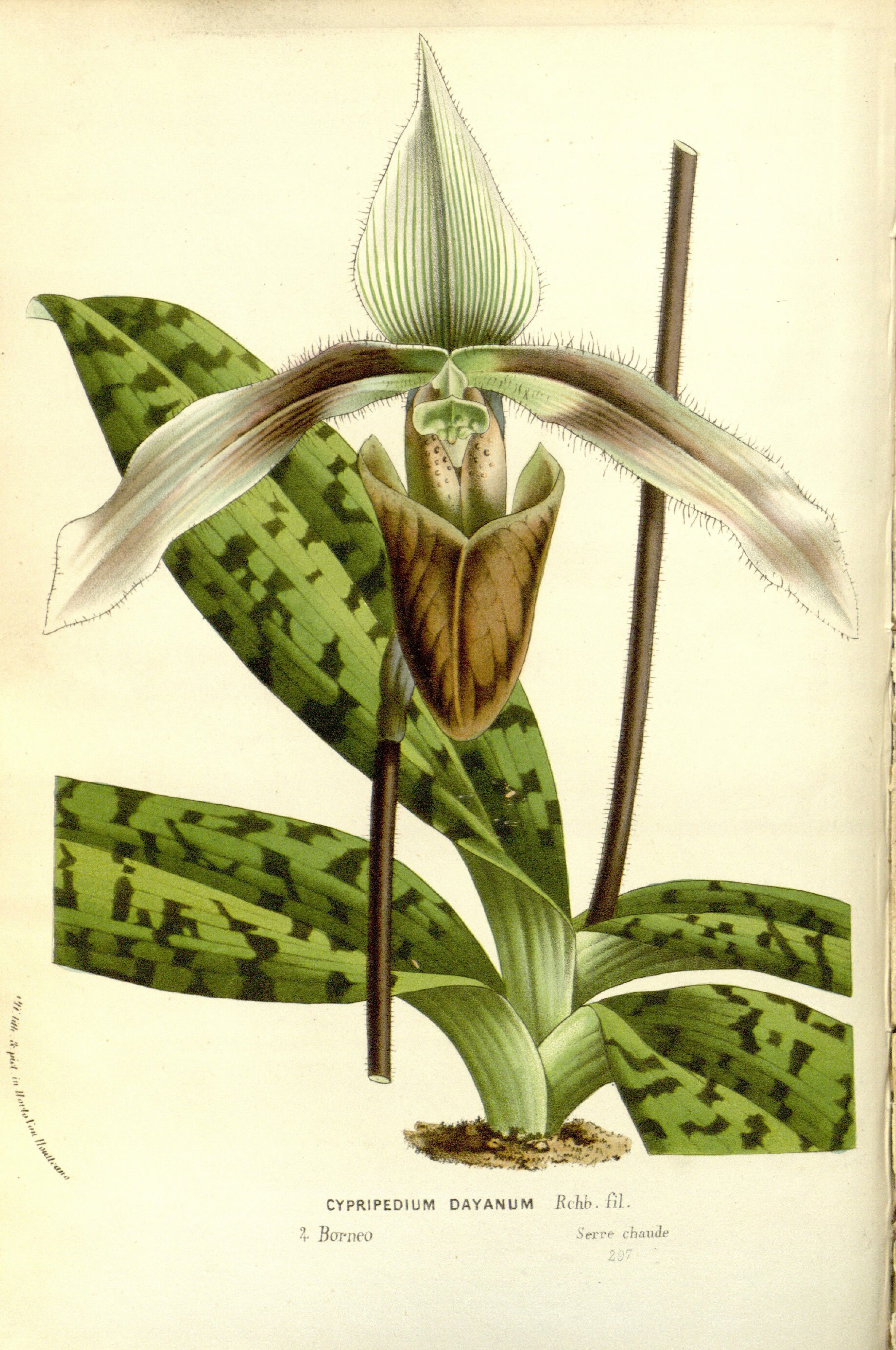 no full size  illustration available (3a)