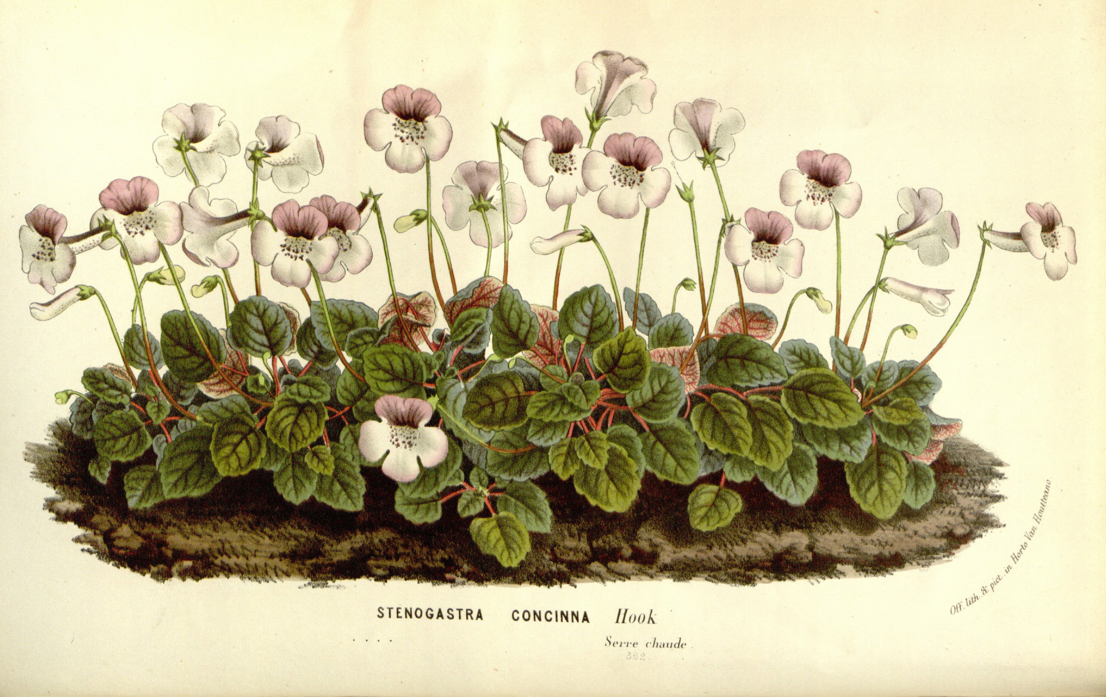 no full size  illustration available (3a)