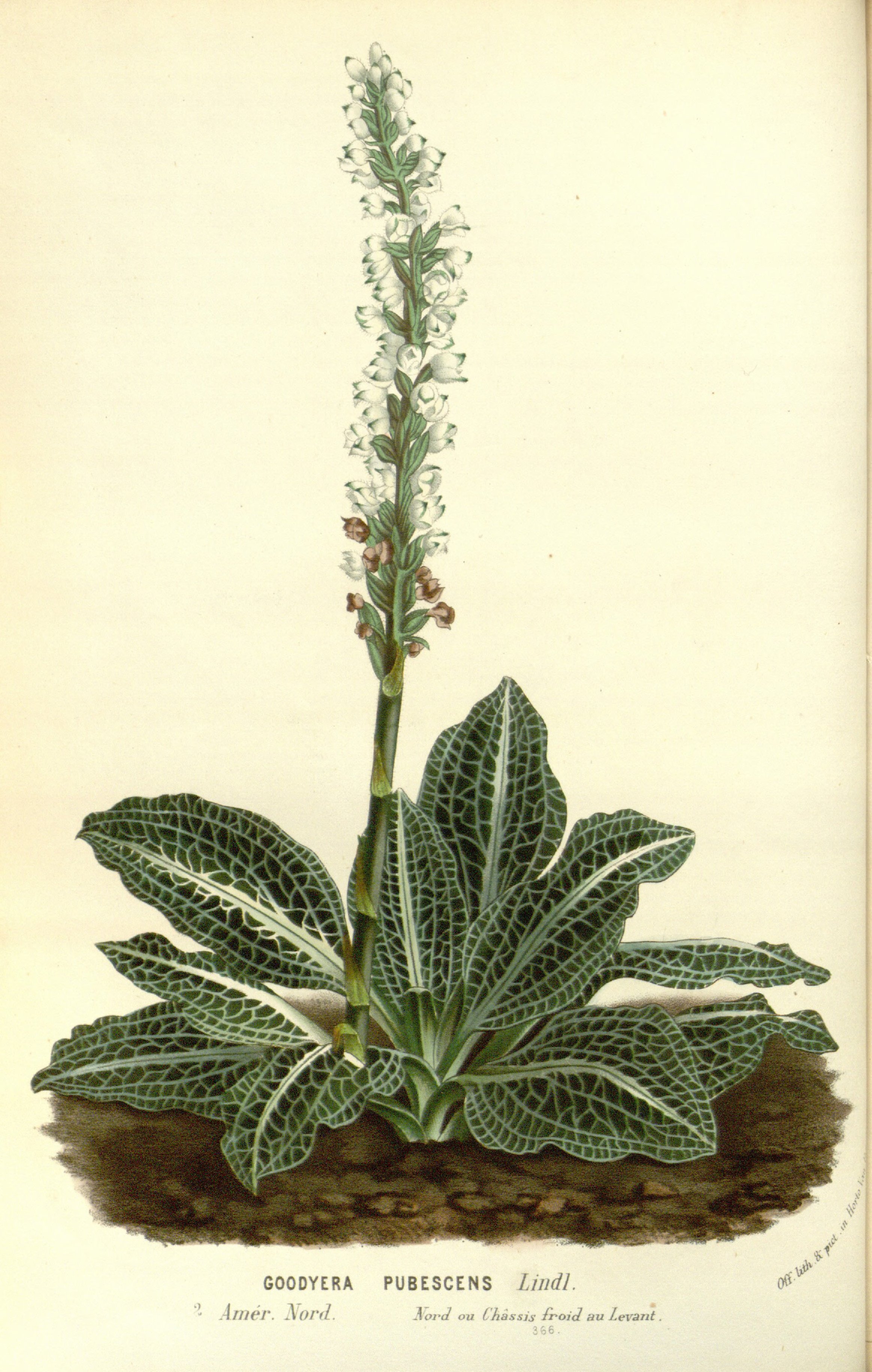 no full size  illustration available (3a)