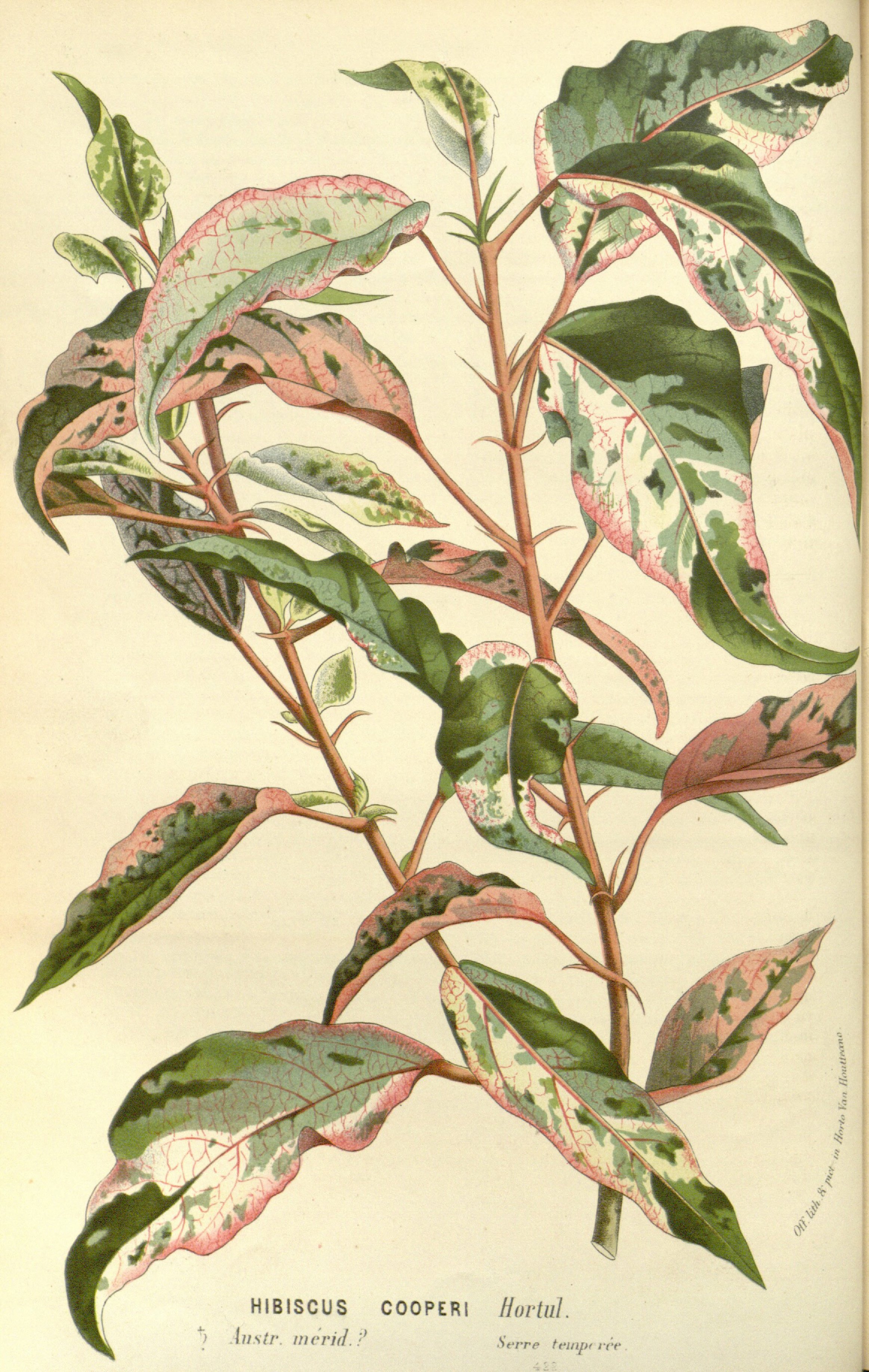 no full size  illustration available (3a)