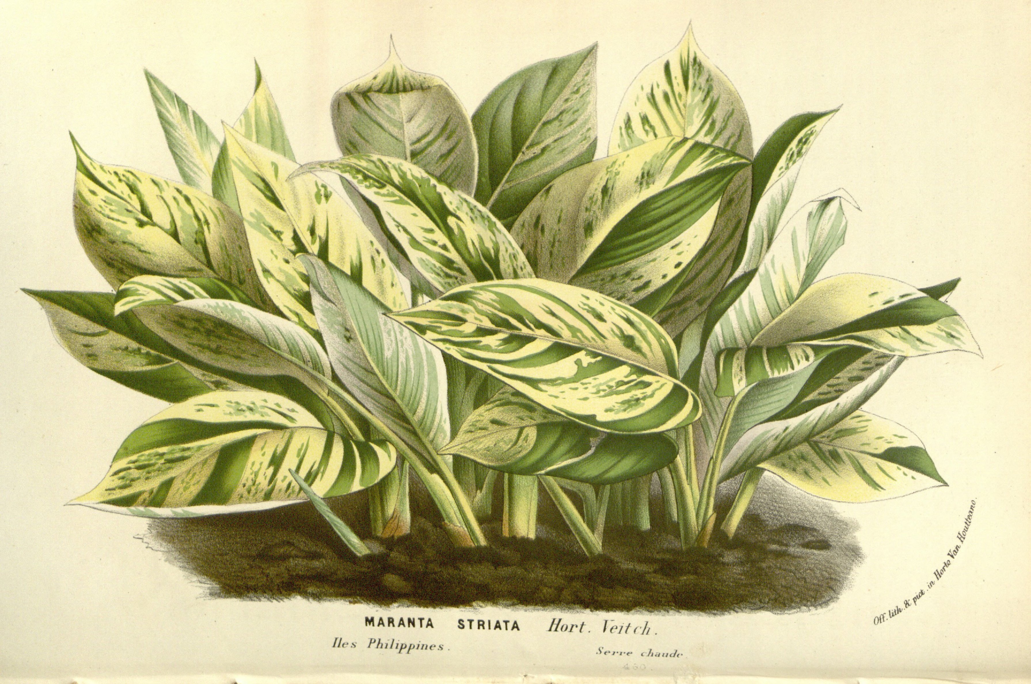 no full size  illustration available (3a)