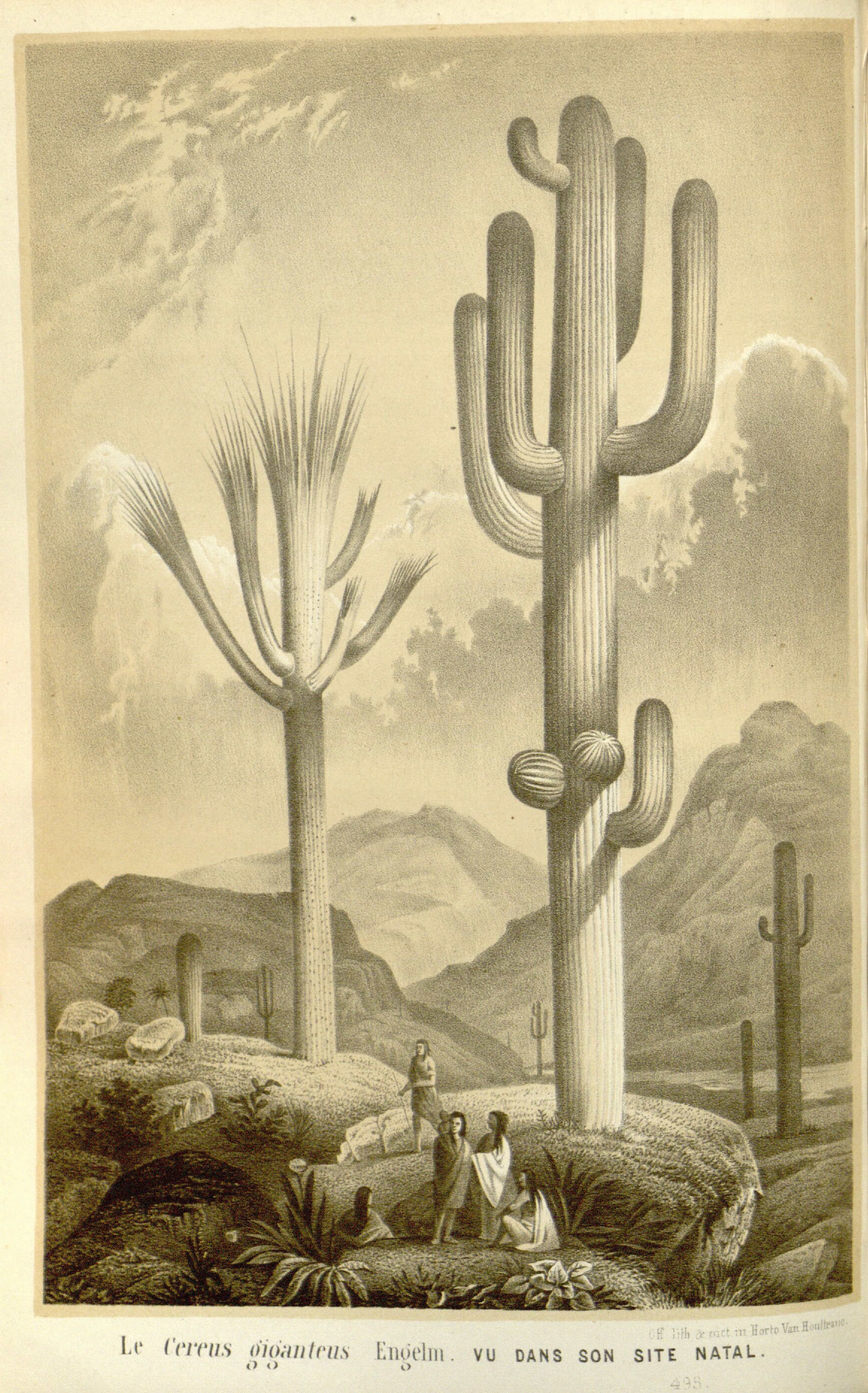 no full size  illustration available (3a)