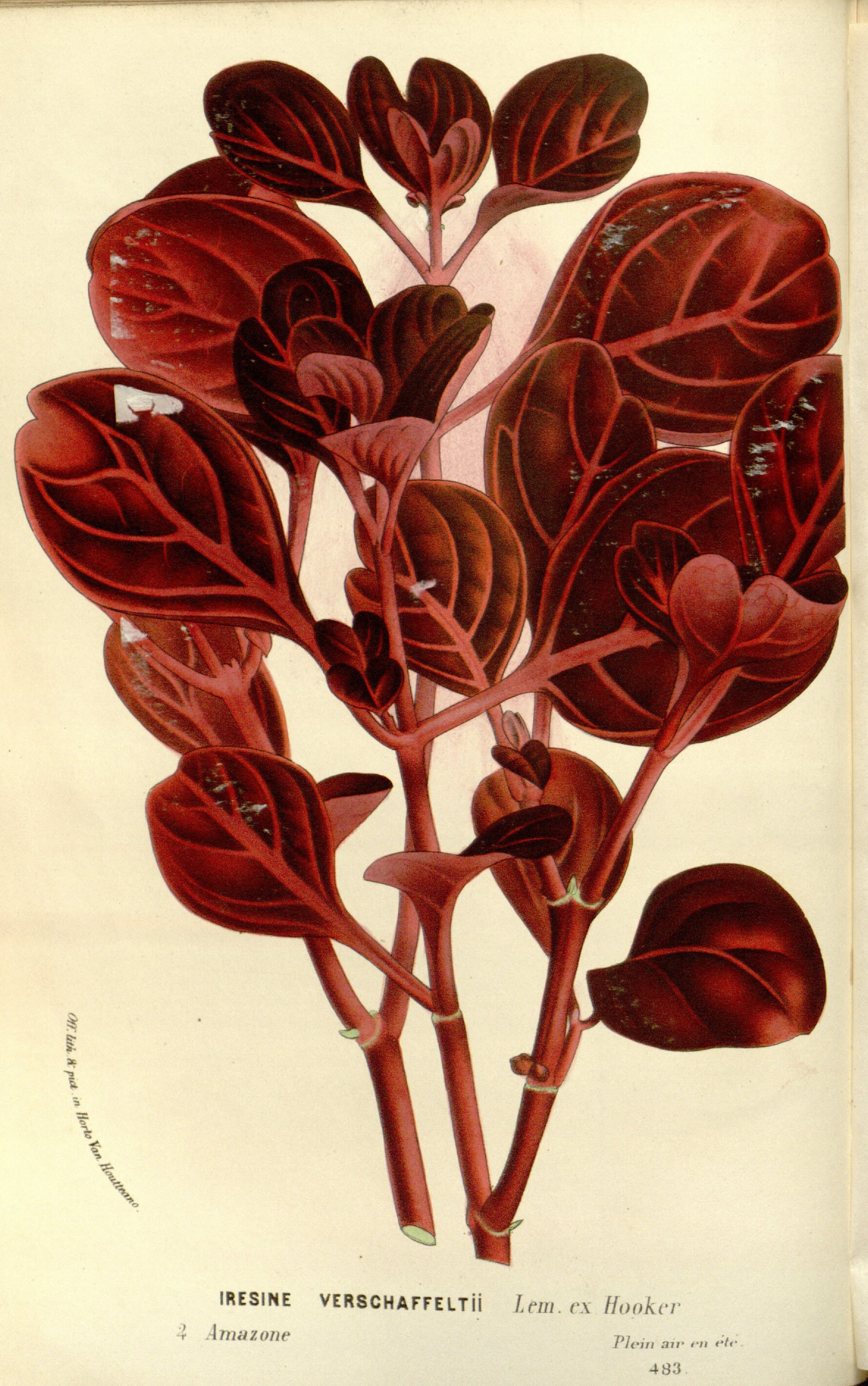 no full size  illustration available (3a)