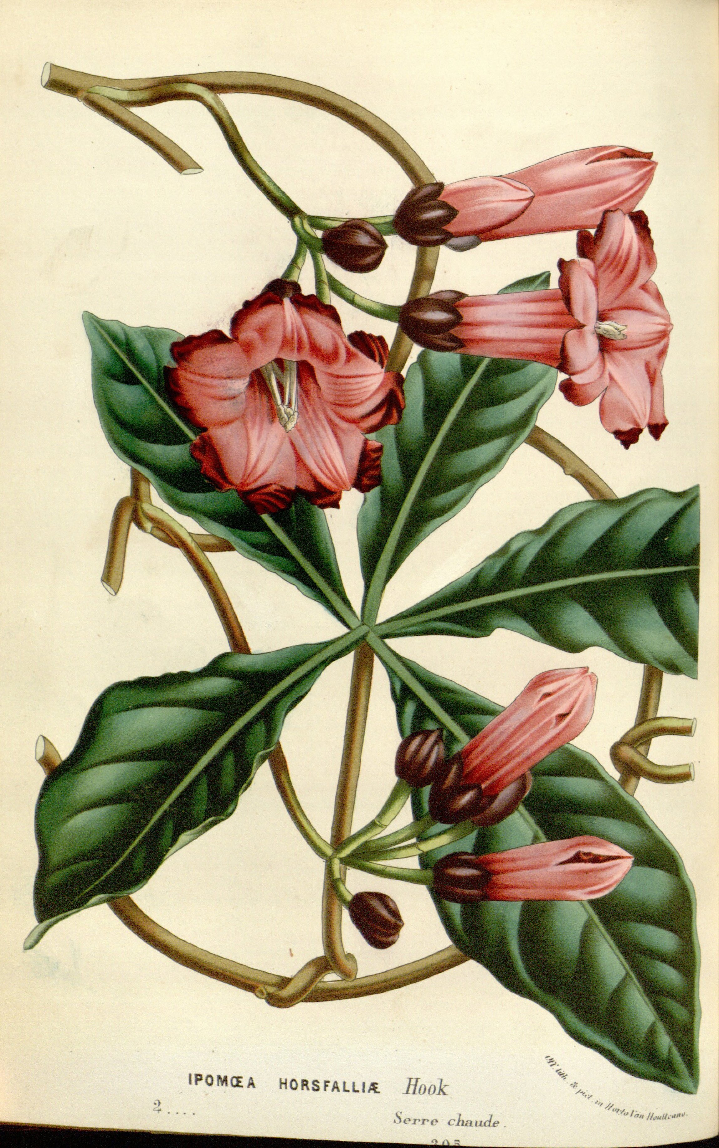 no full size  illustration available (3a)