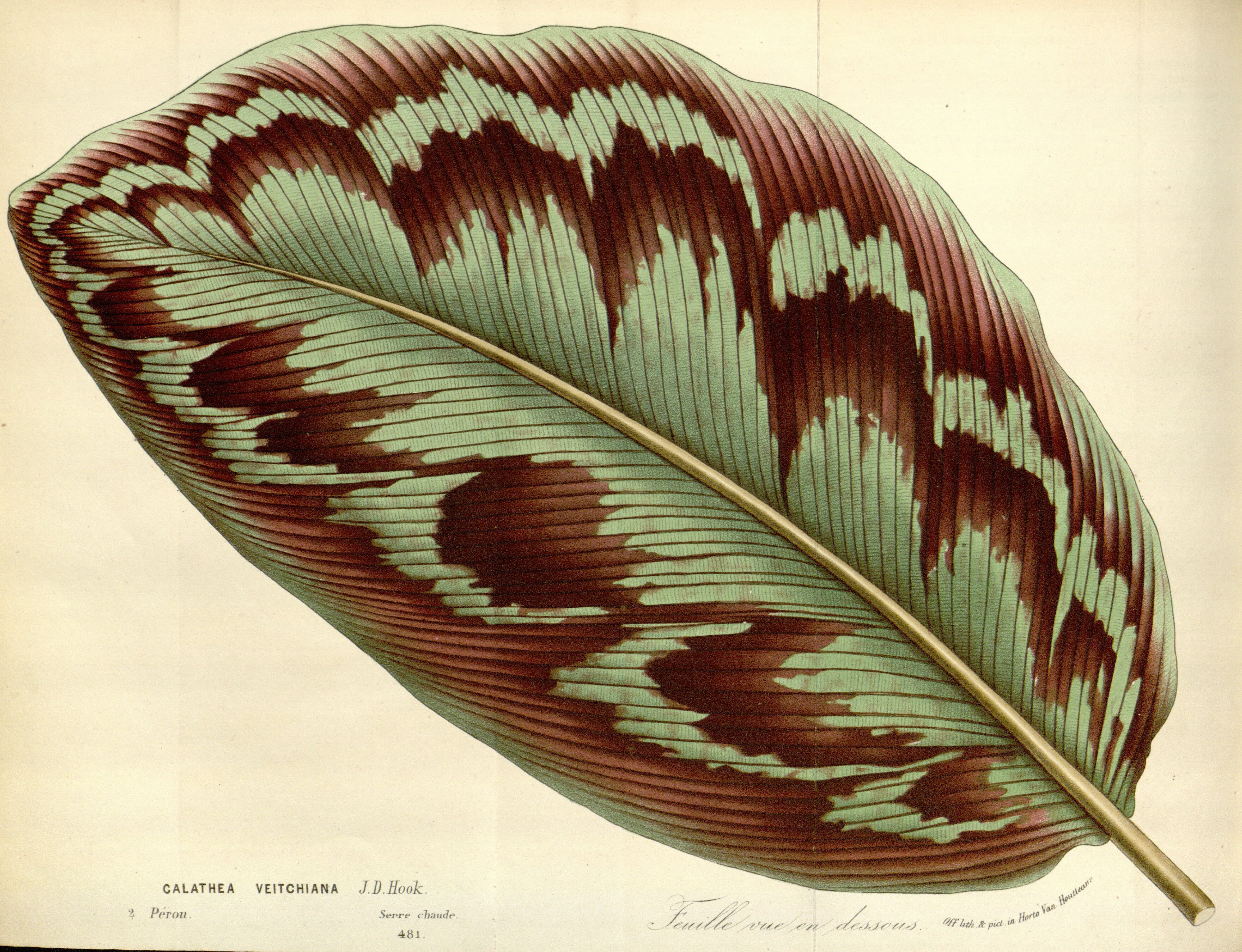 no full size  illustration available (3a)