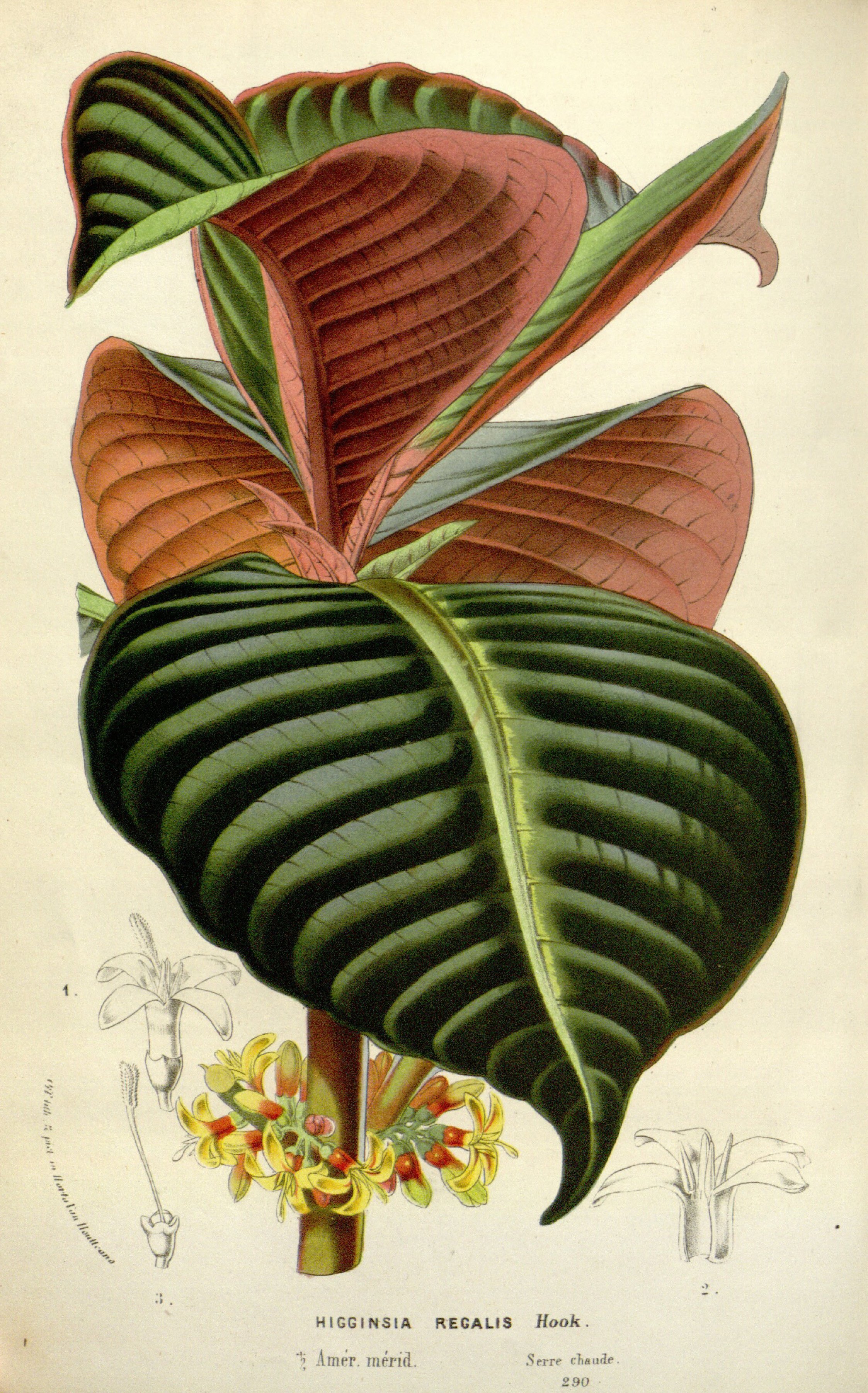 no full size  illustration available (3a)