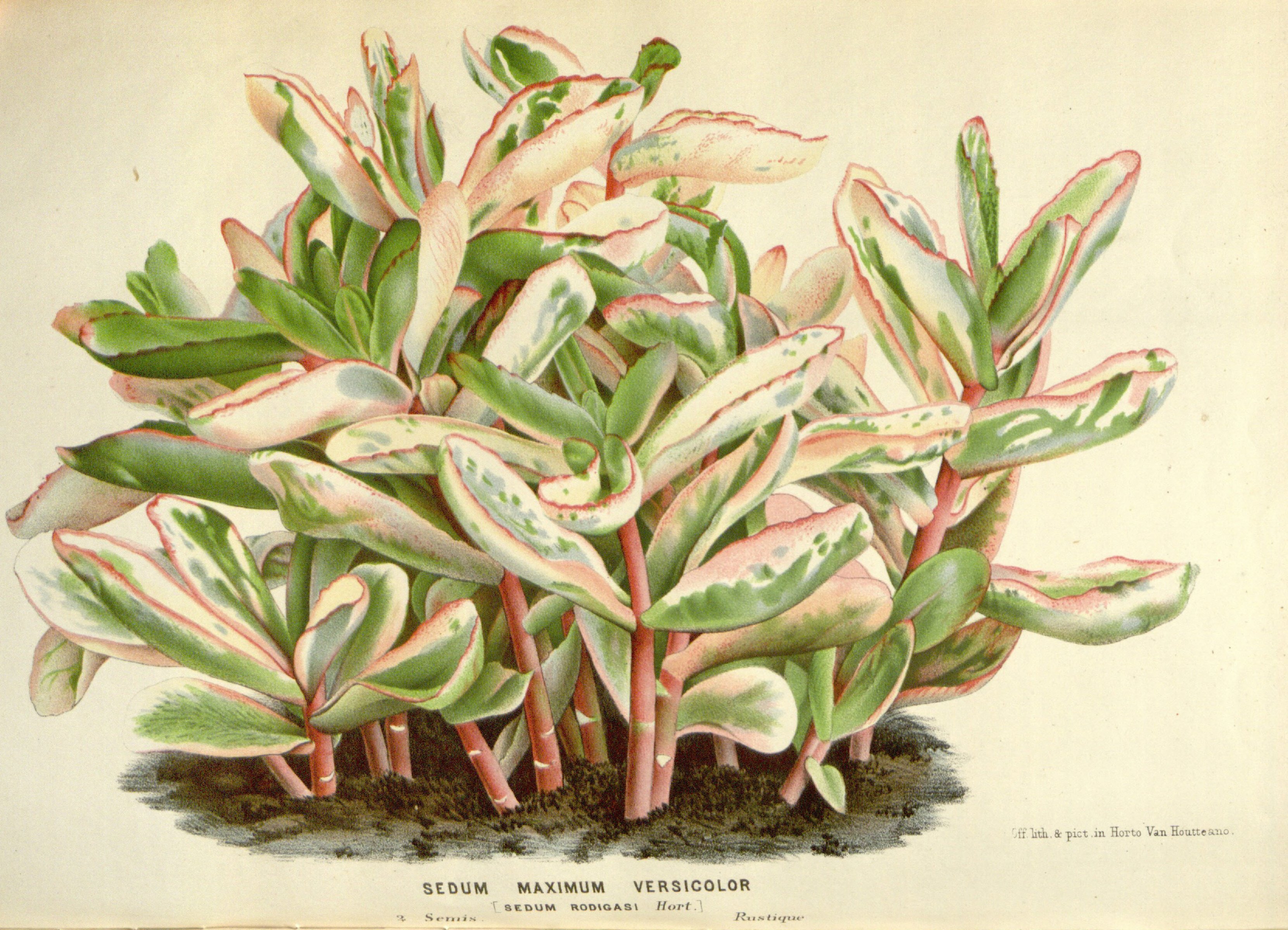 no full size  illustration available (3a)