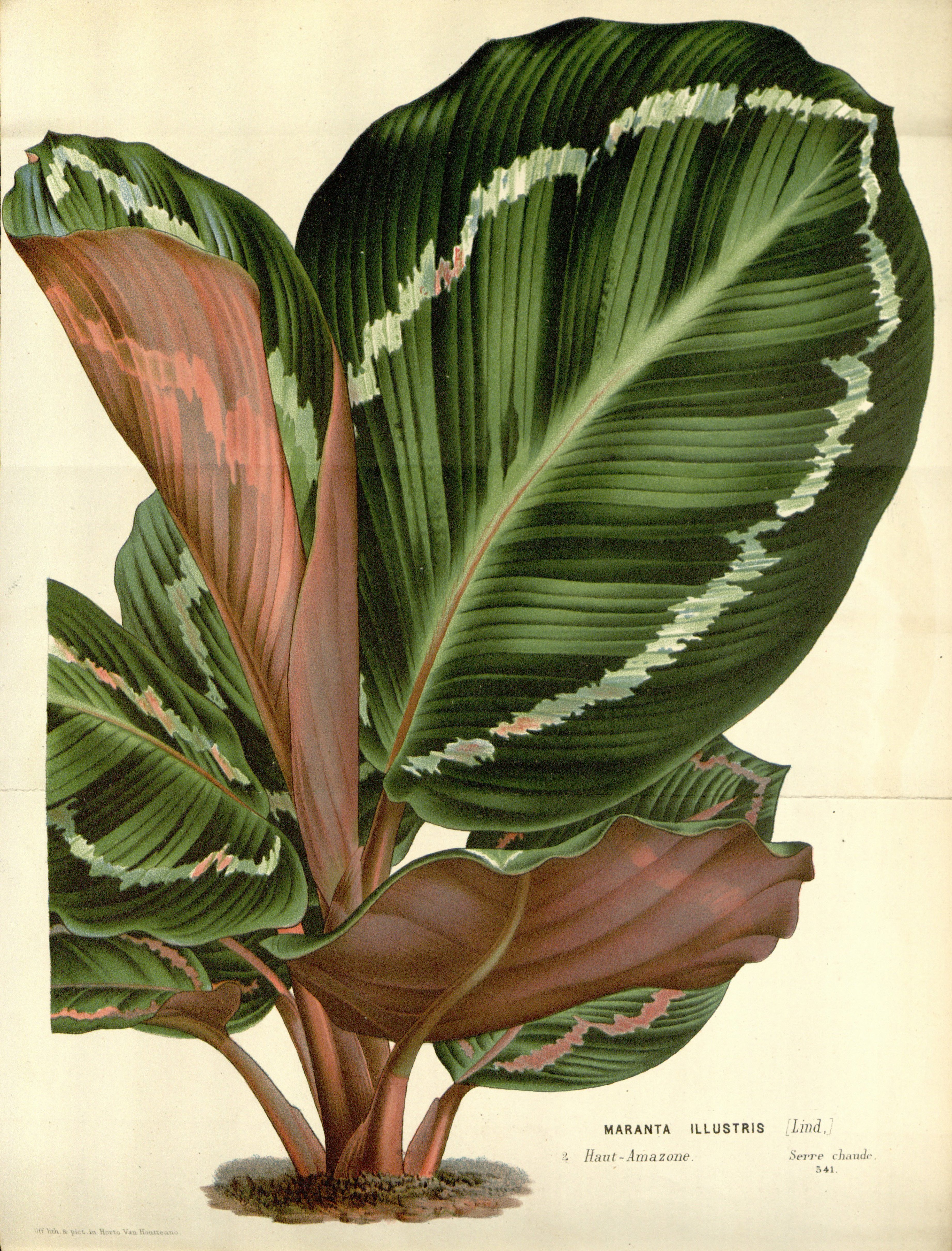 no full size  illustration available (3a)