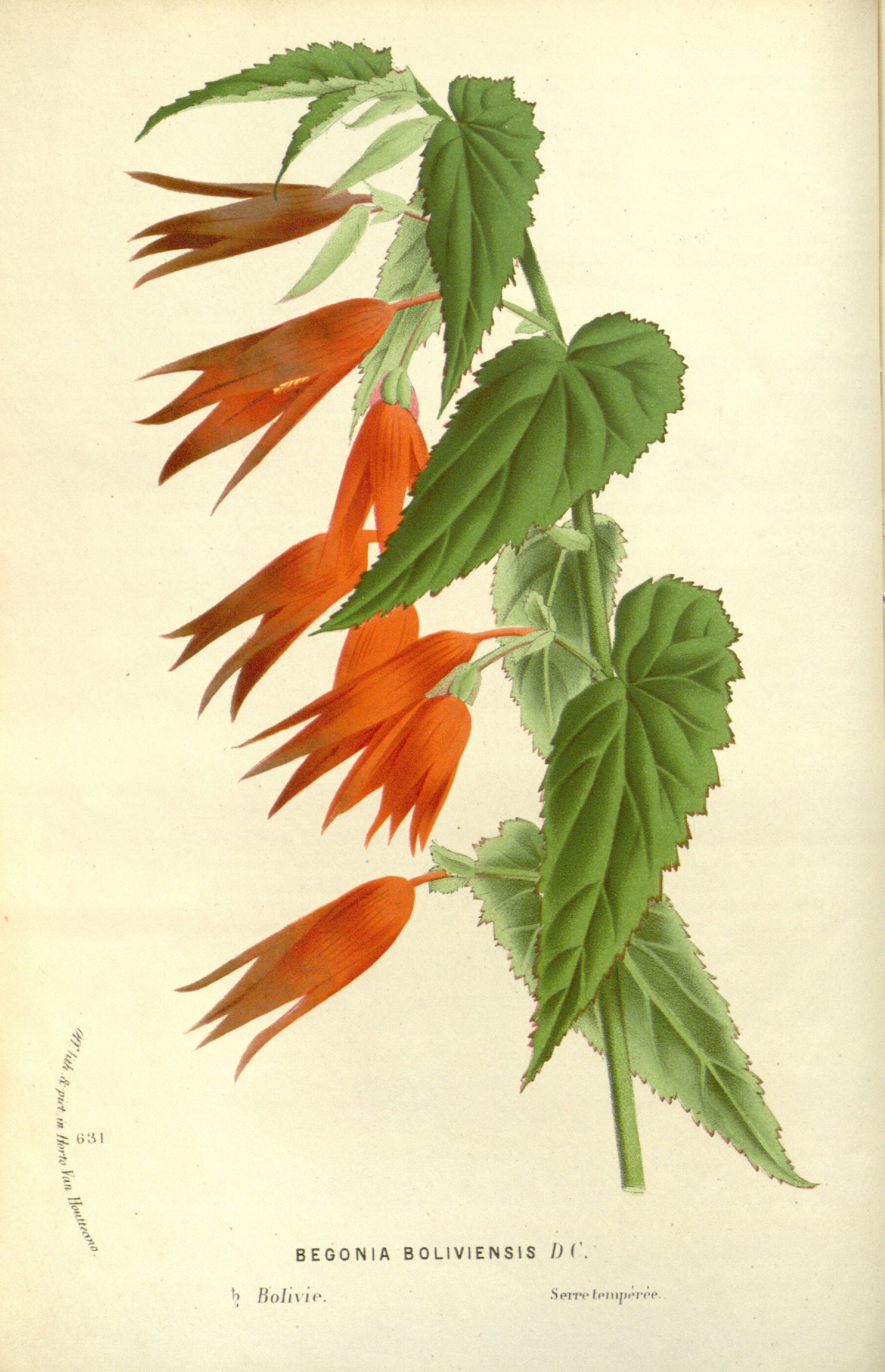 no full size  illustration available (3a)