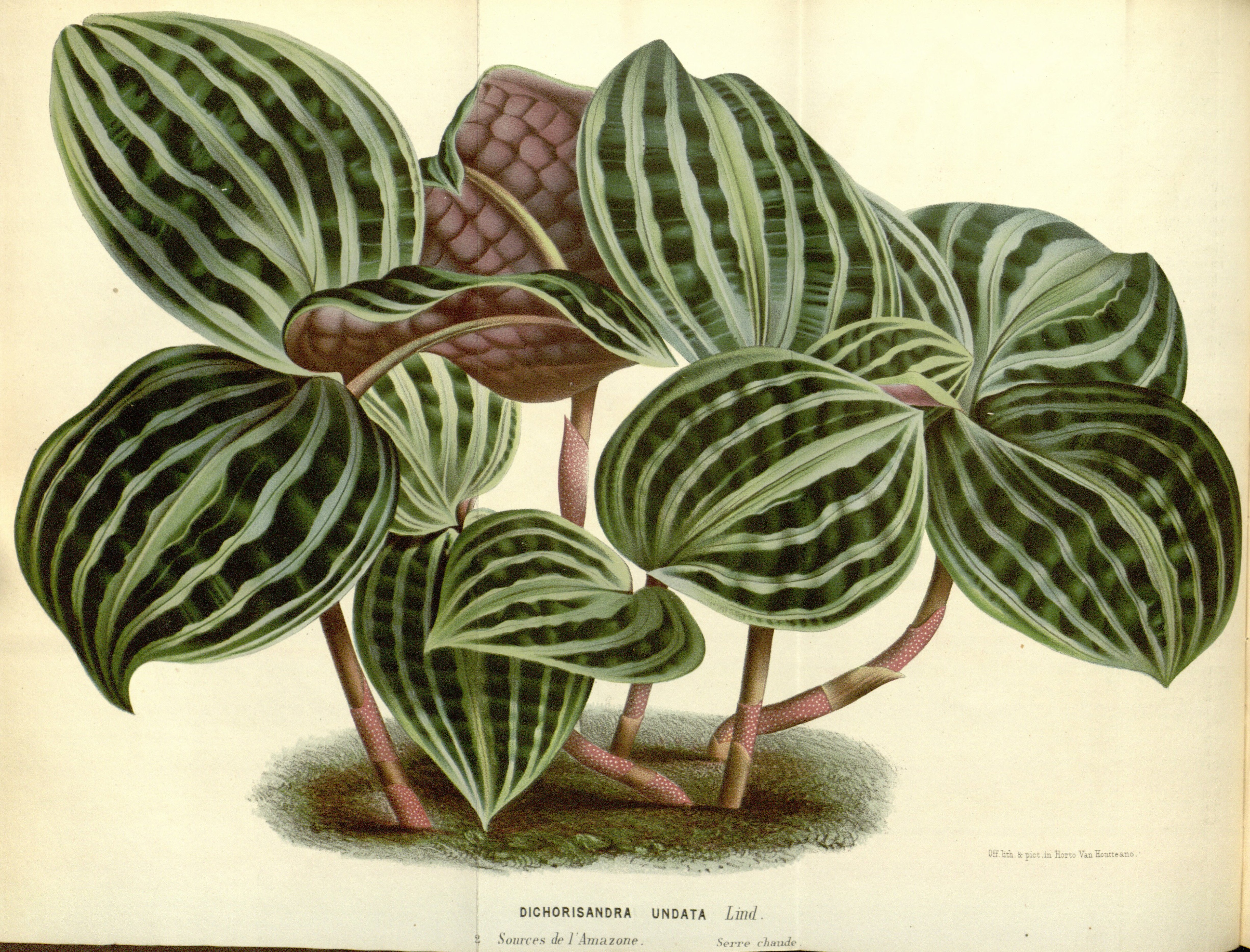 no full size  illustration available (3a)