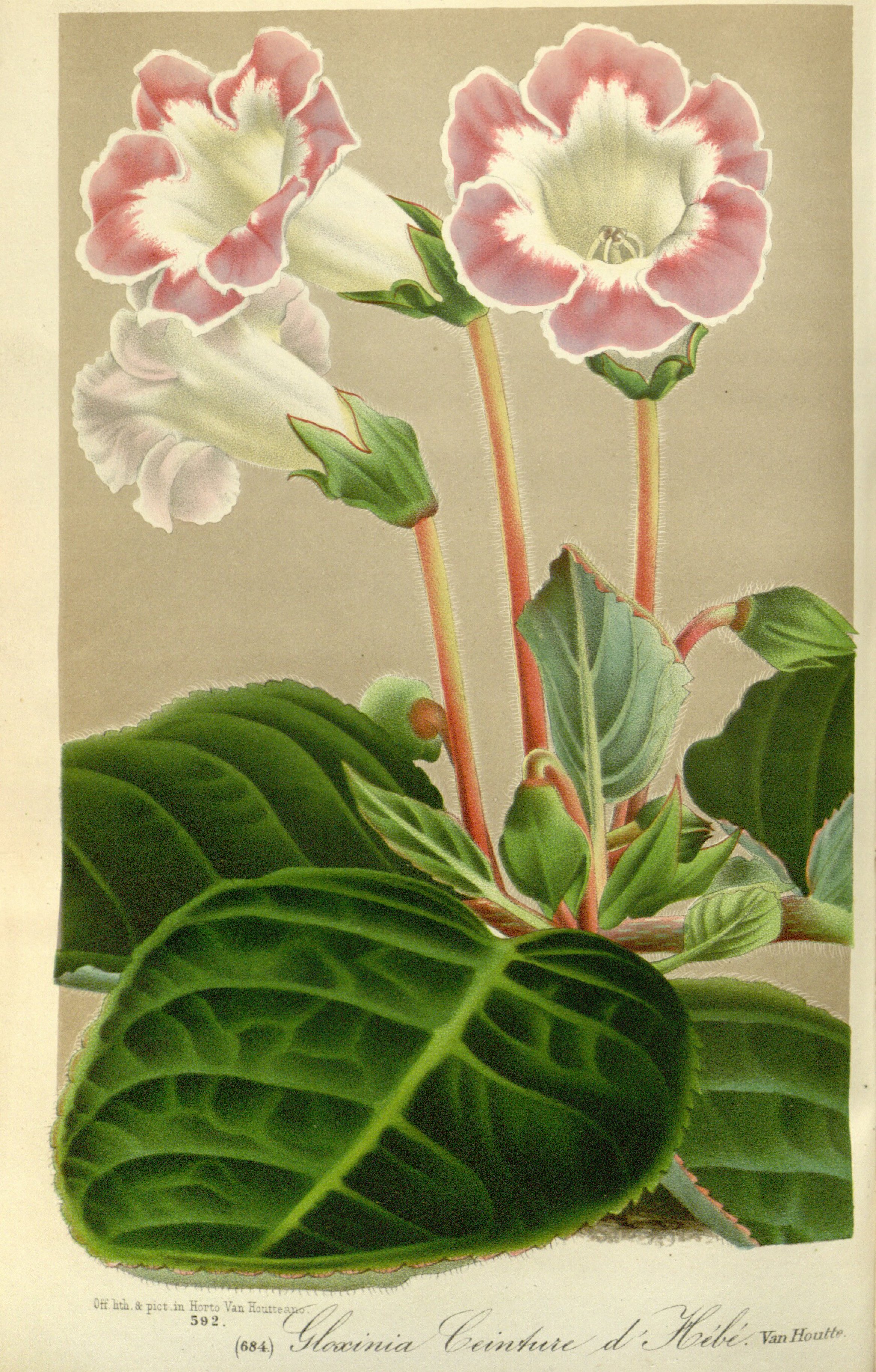 no full size  illustration available (3a)