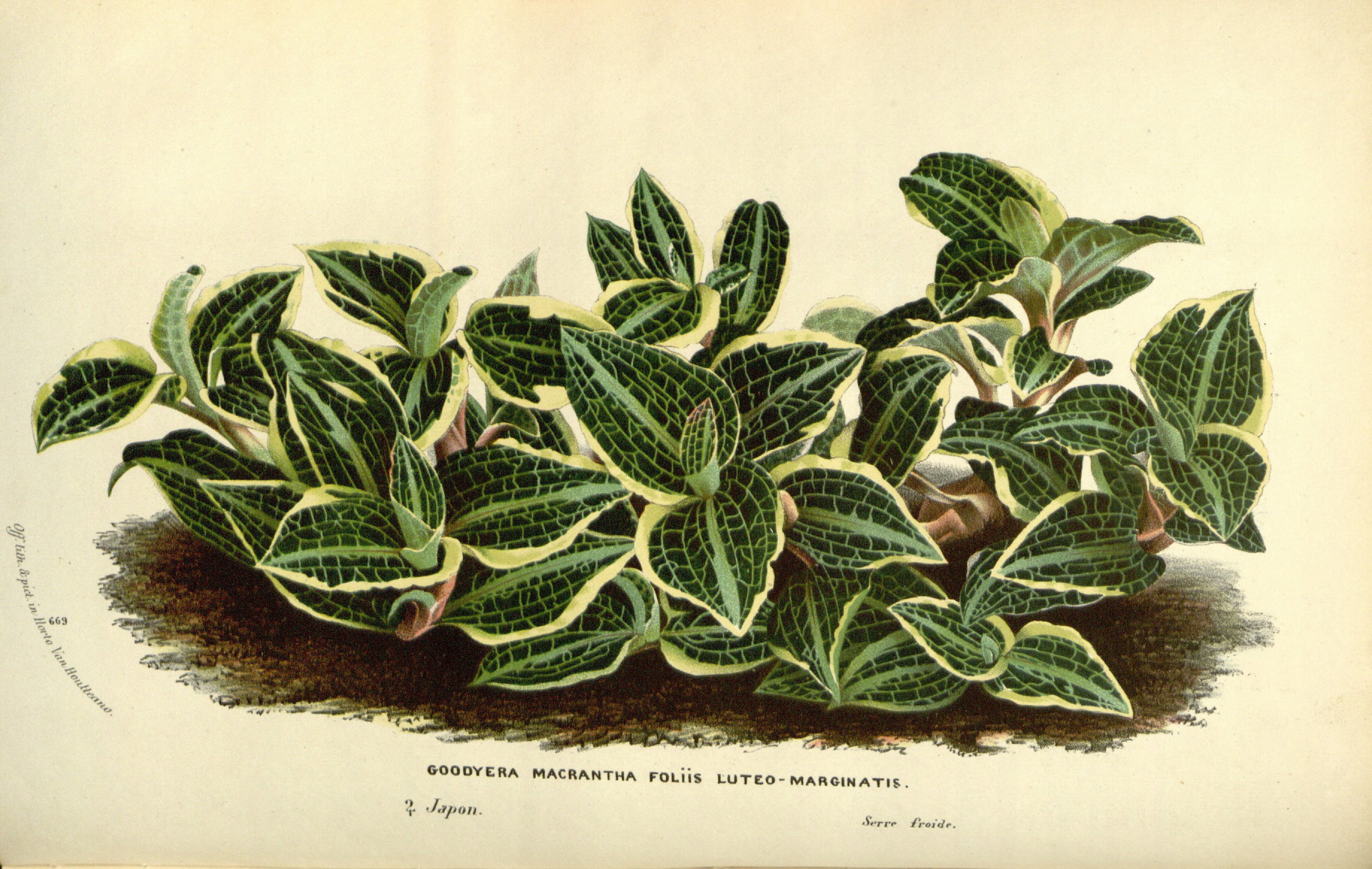 no full size  illustration available (3a)