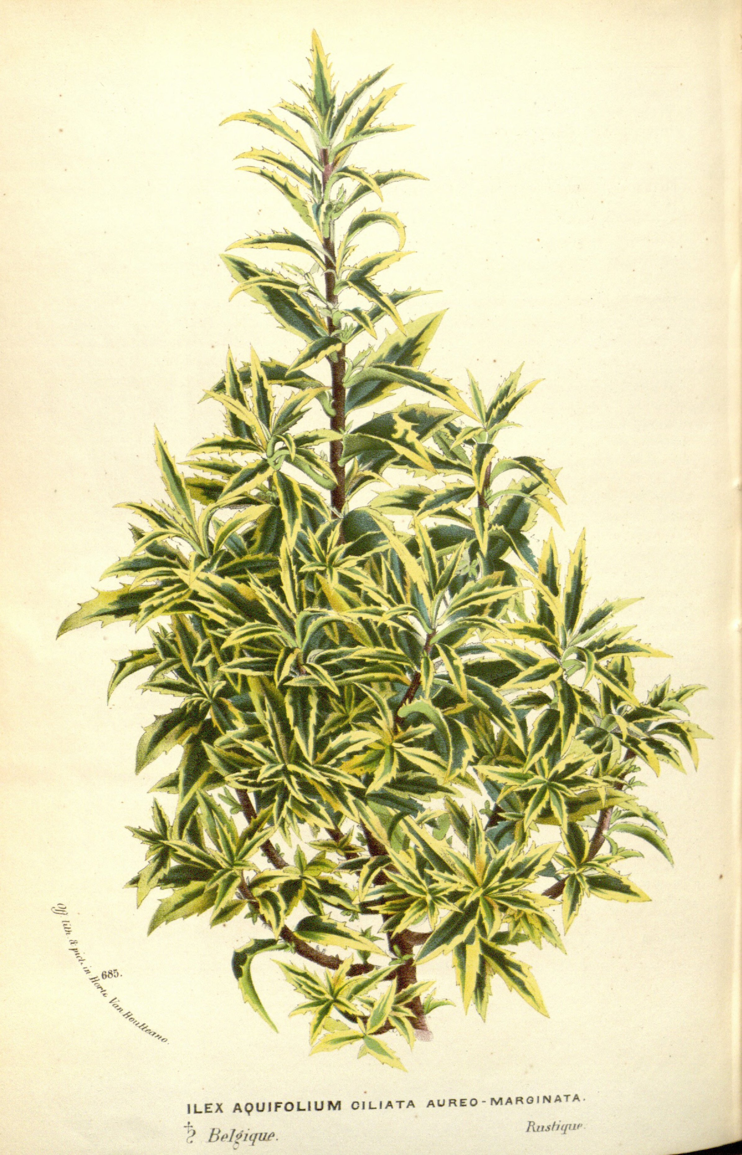 no full size  illustration available (3a)