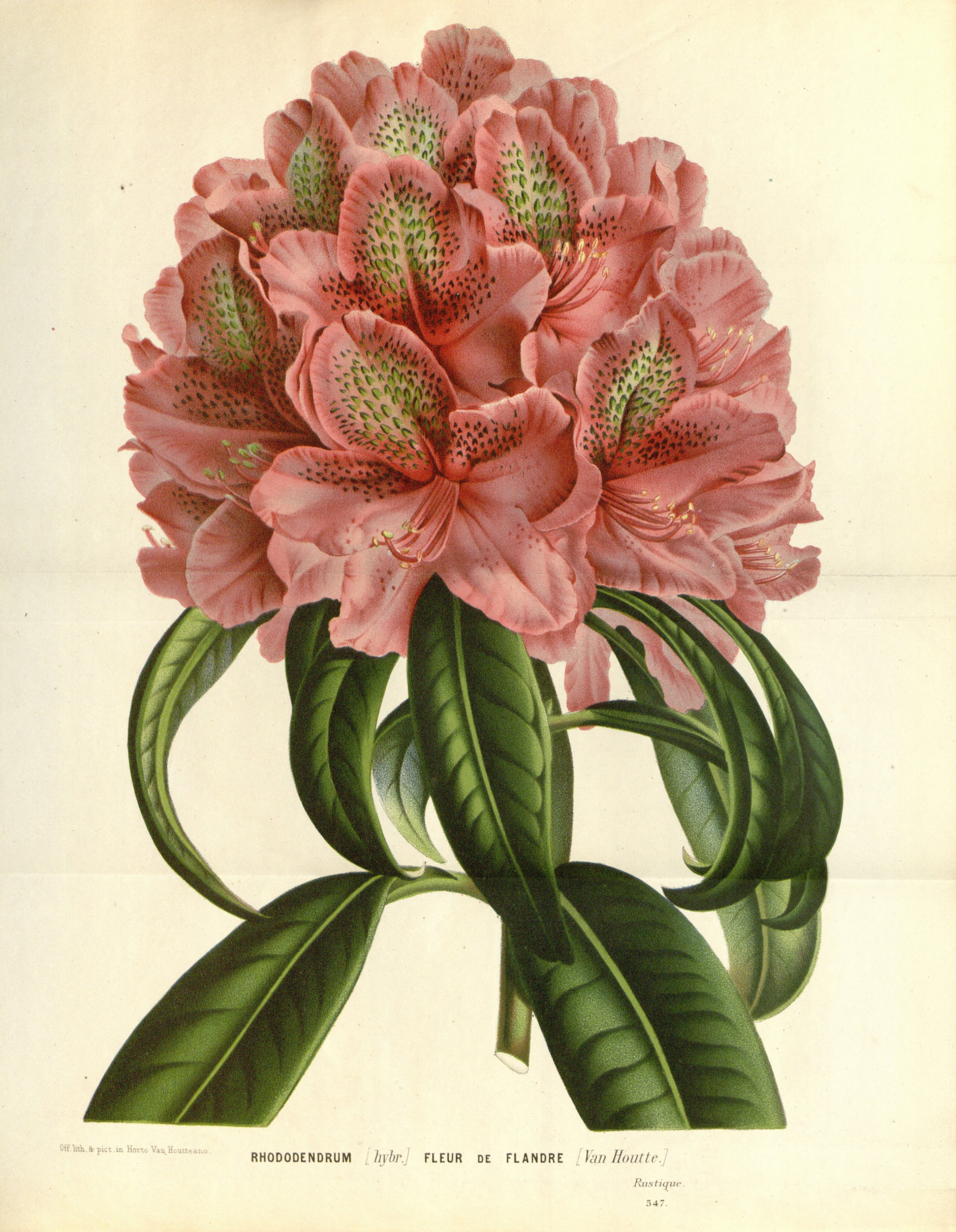 no full size  illustration available (3a)