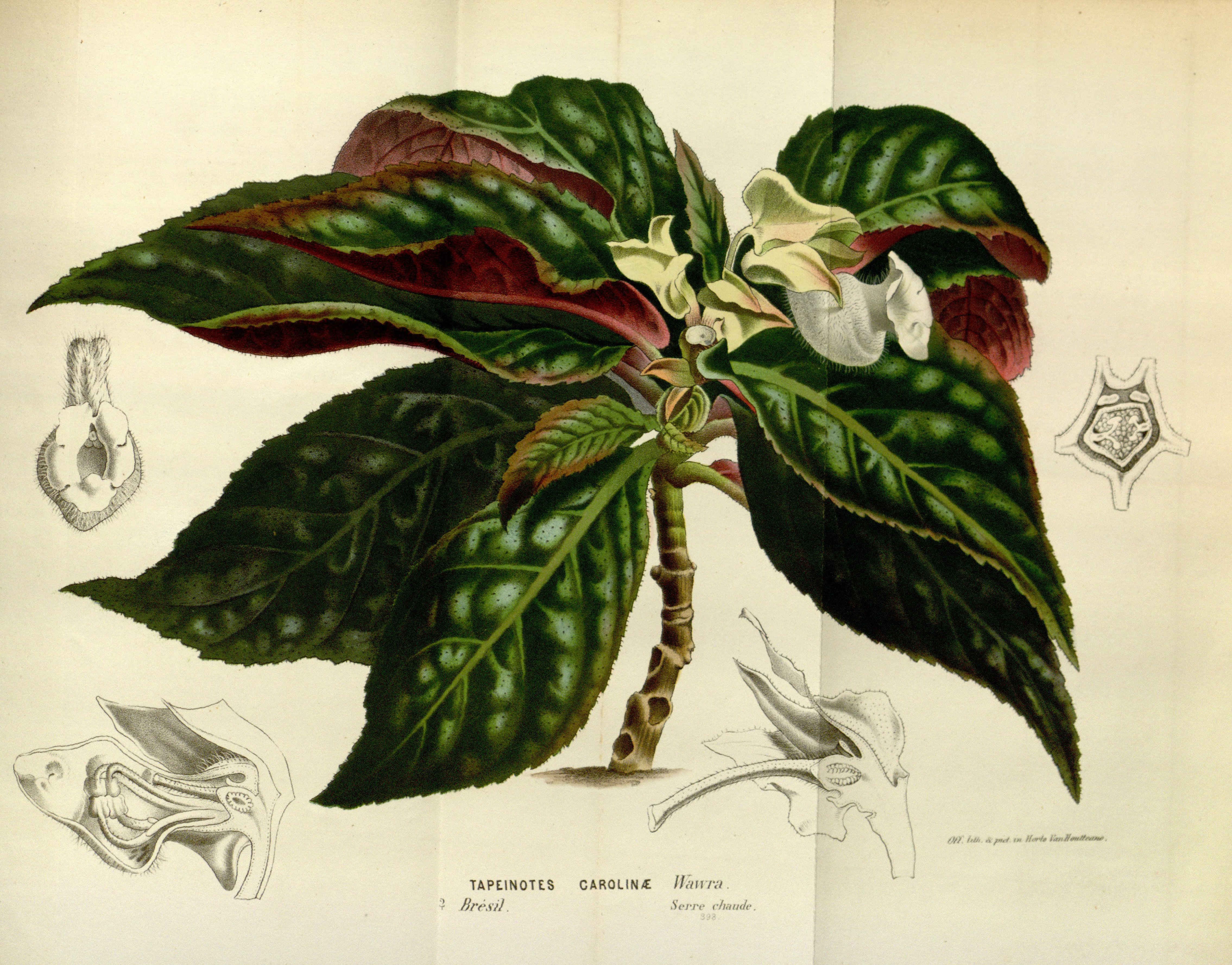 no full size  illustration available (3a)