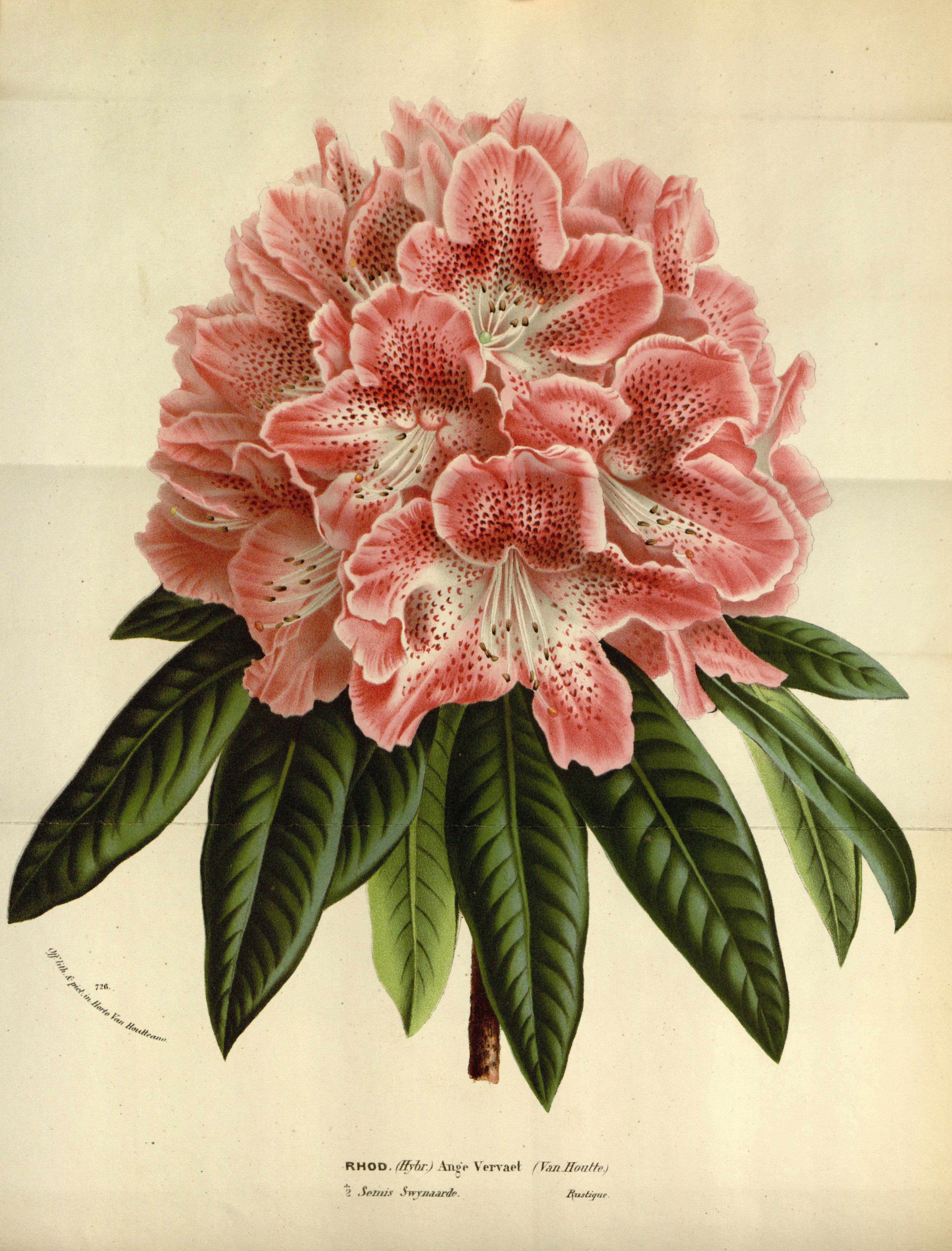 no full size  illustration available (3a)