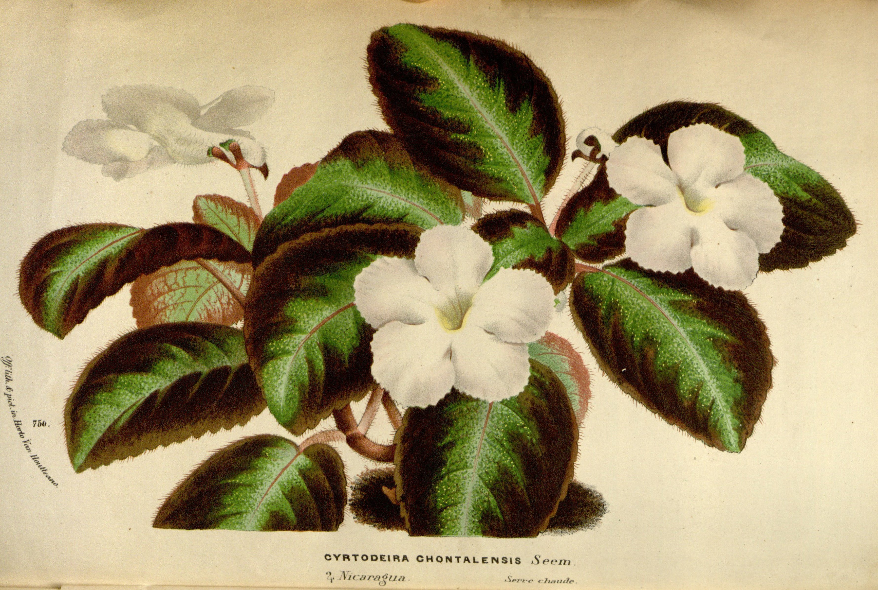 no full size  illustration available (3a)