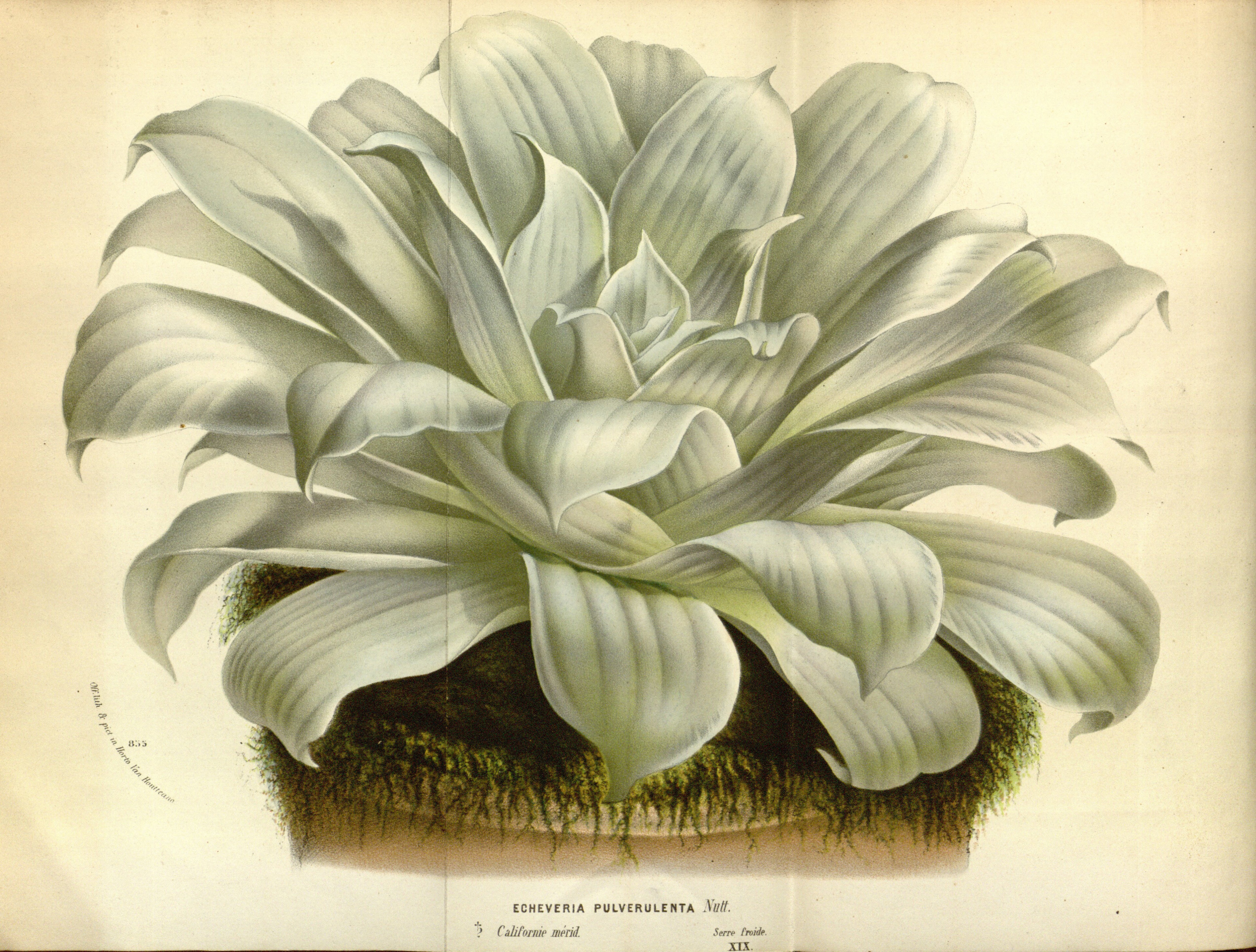 no full size  illustration available (3a)