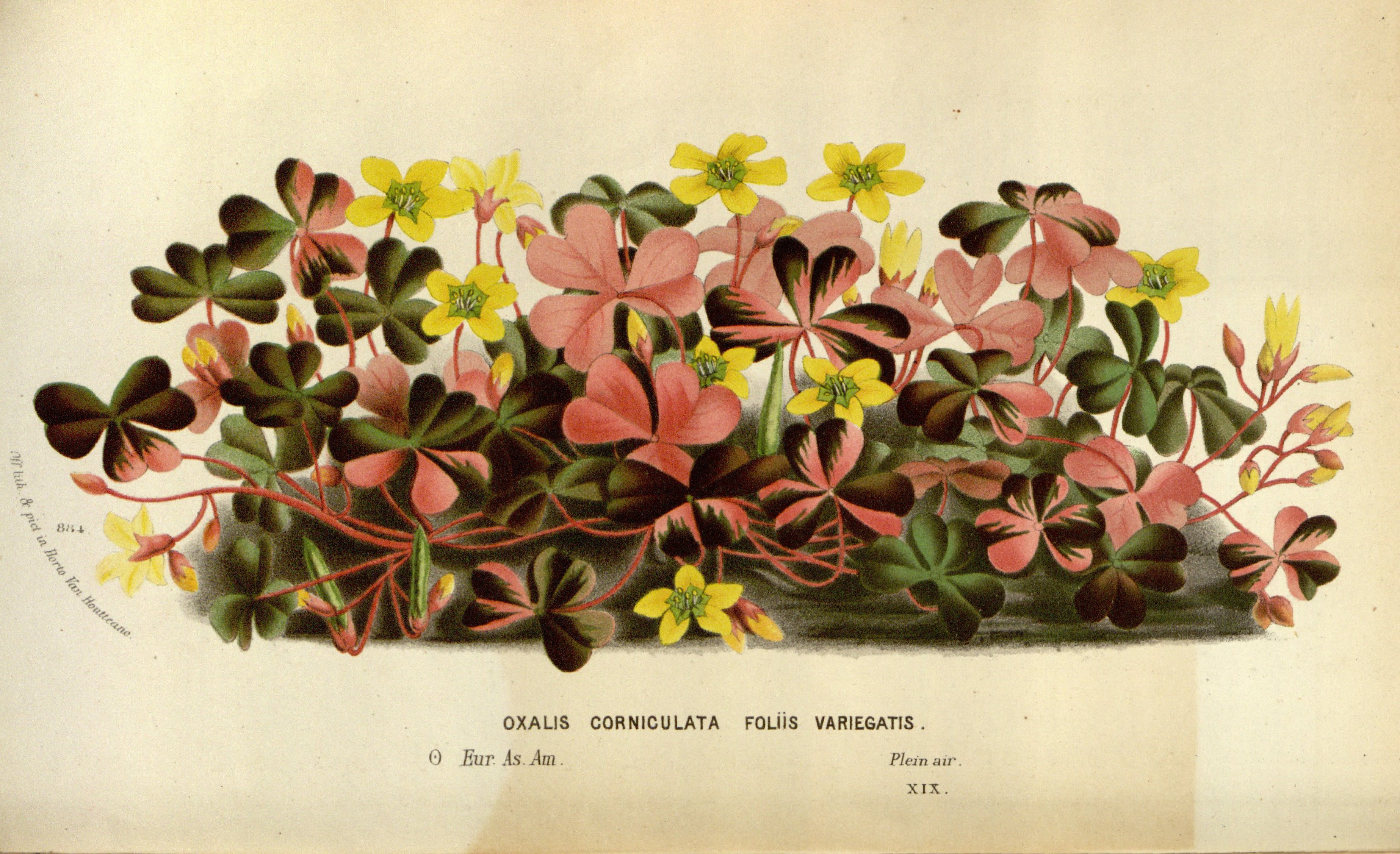 no full size  illustration available (3a)