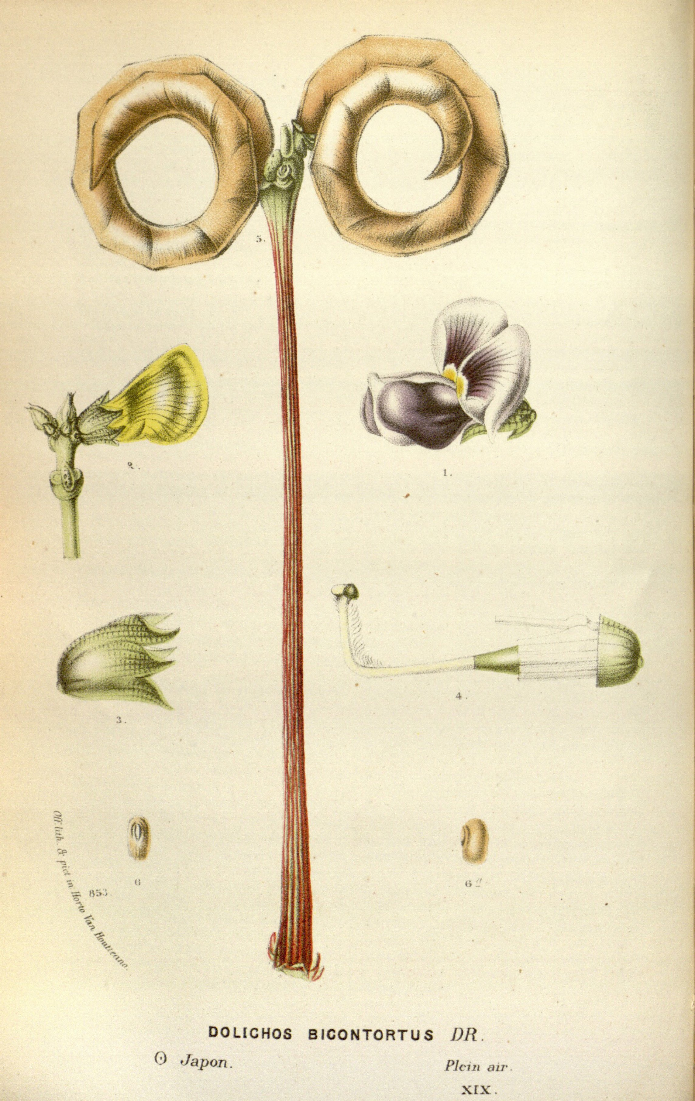 no full size  illustration available (3a)