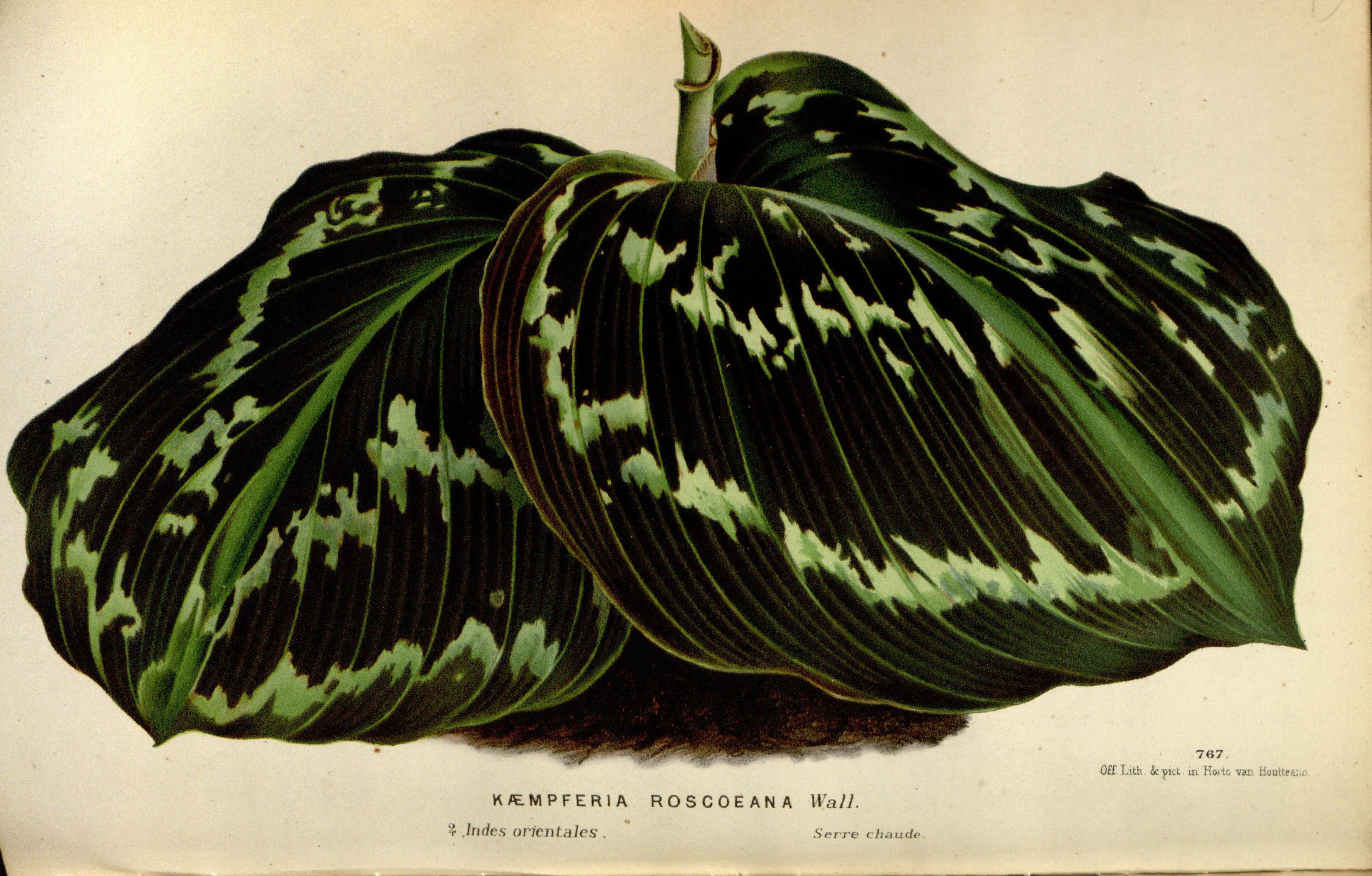 no full size  illustration available (3a)