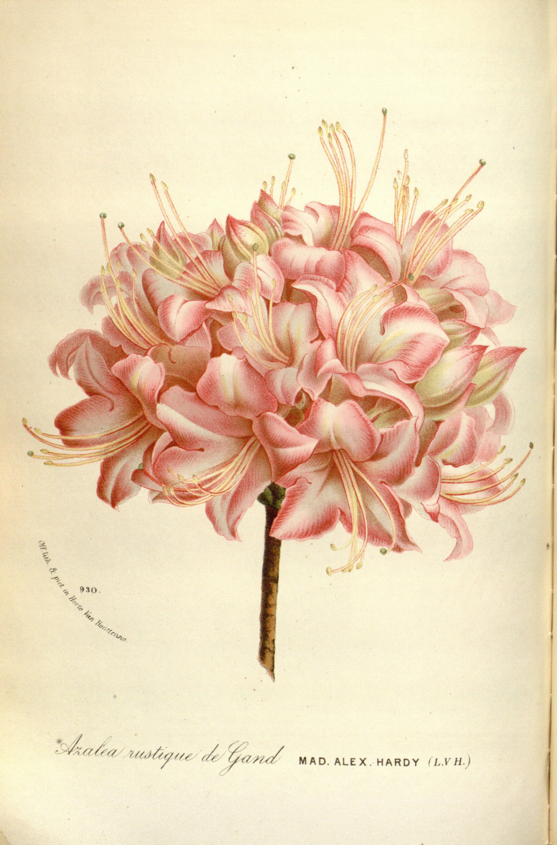 no full size  illustration available (3a)