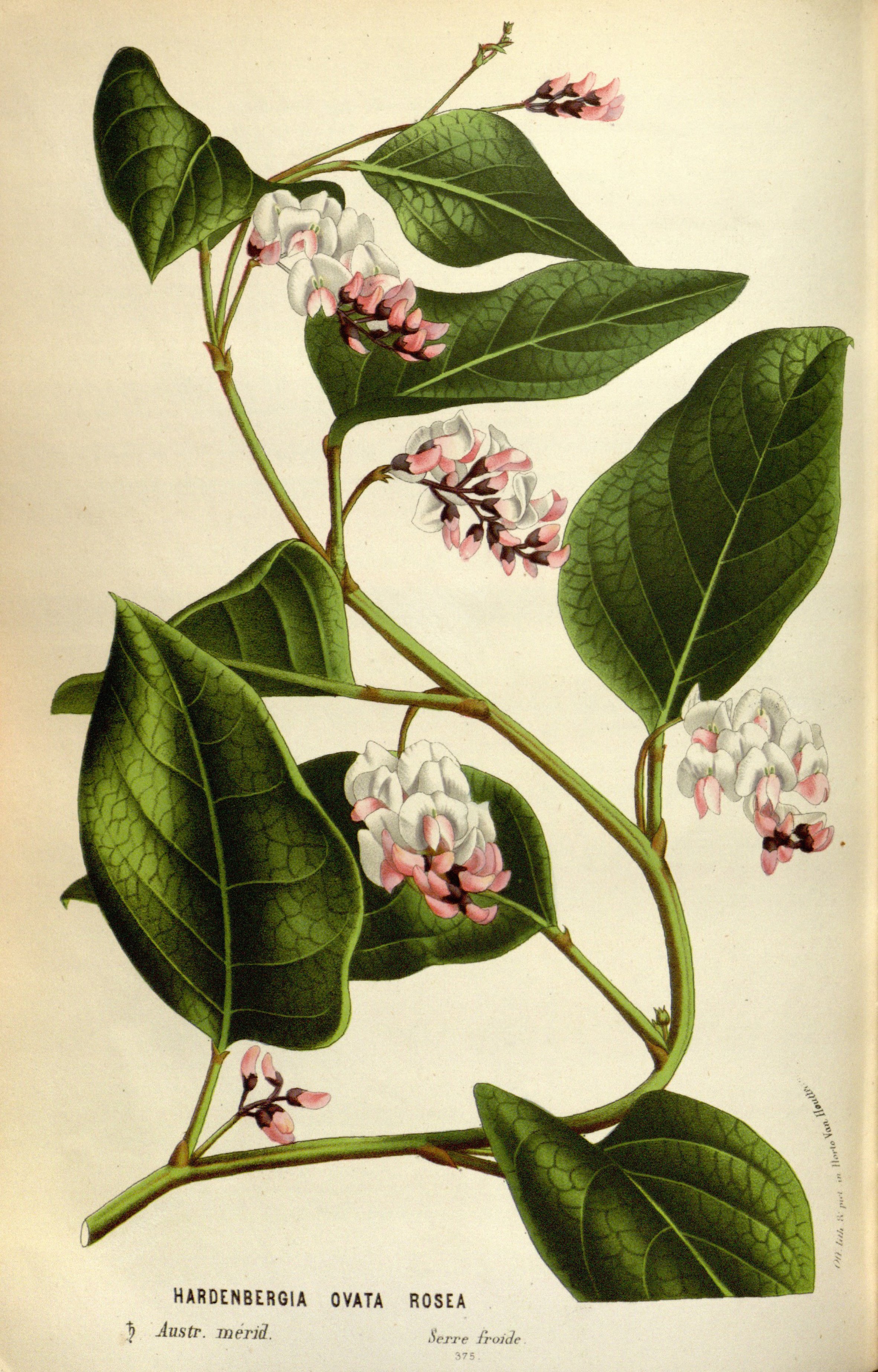 no full size  illustration available (3a)