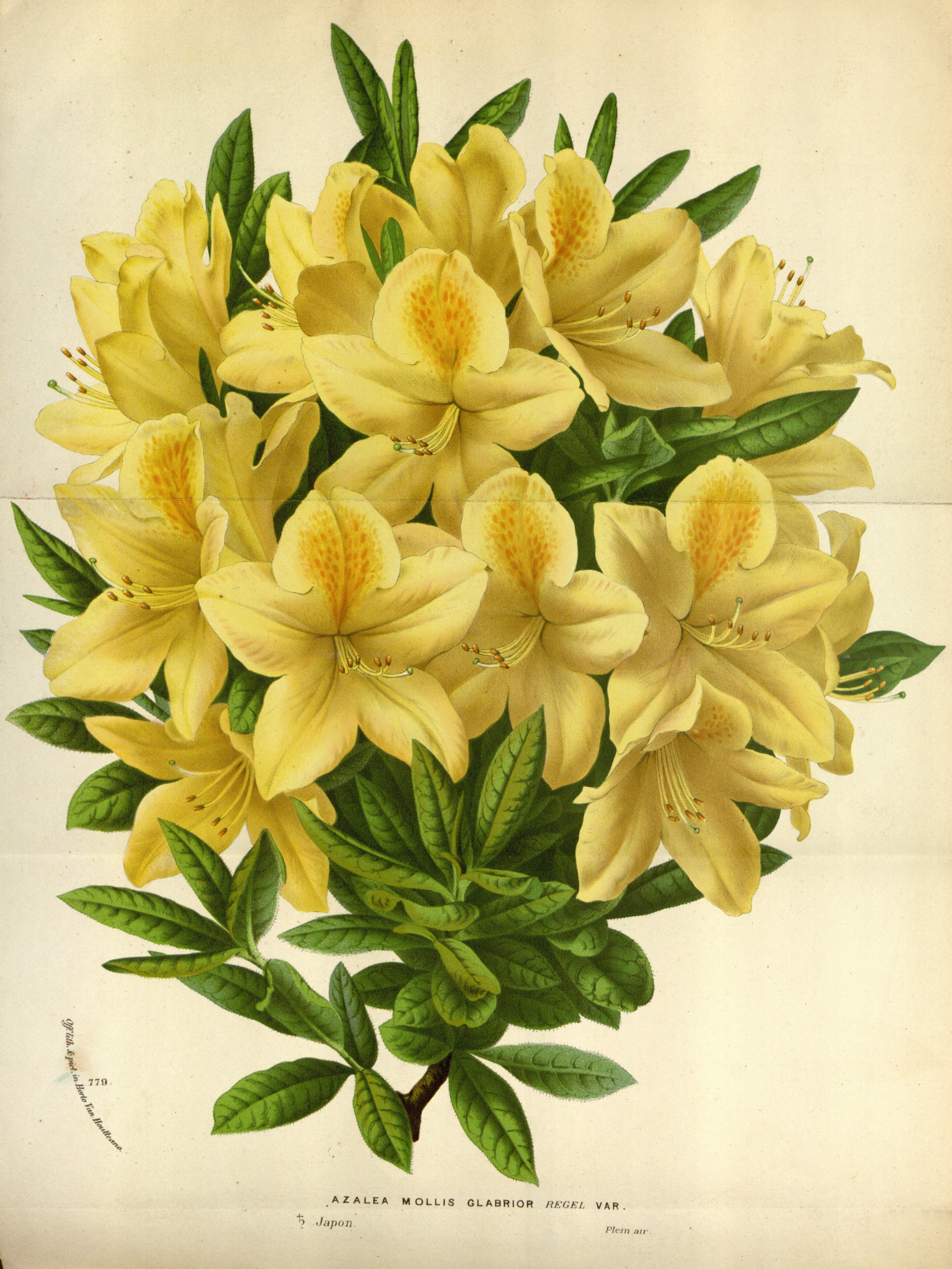 no full size  illustration available (3a)