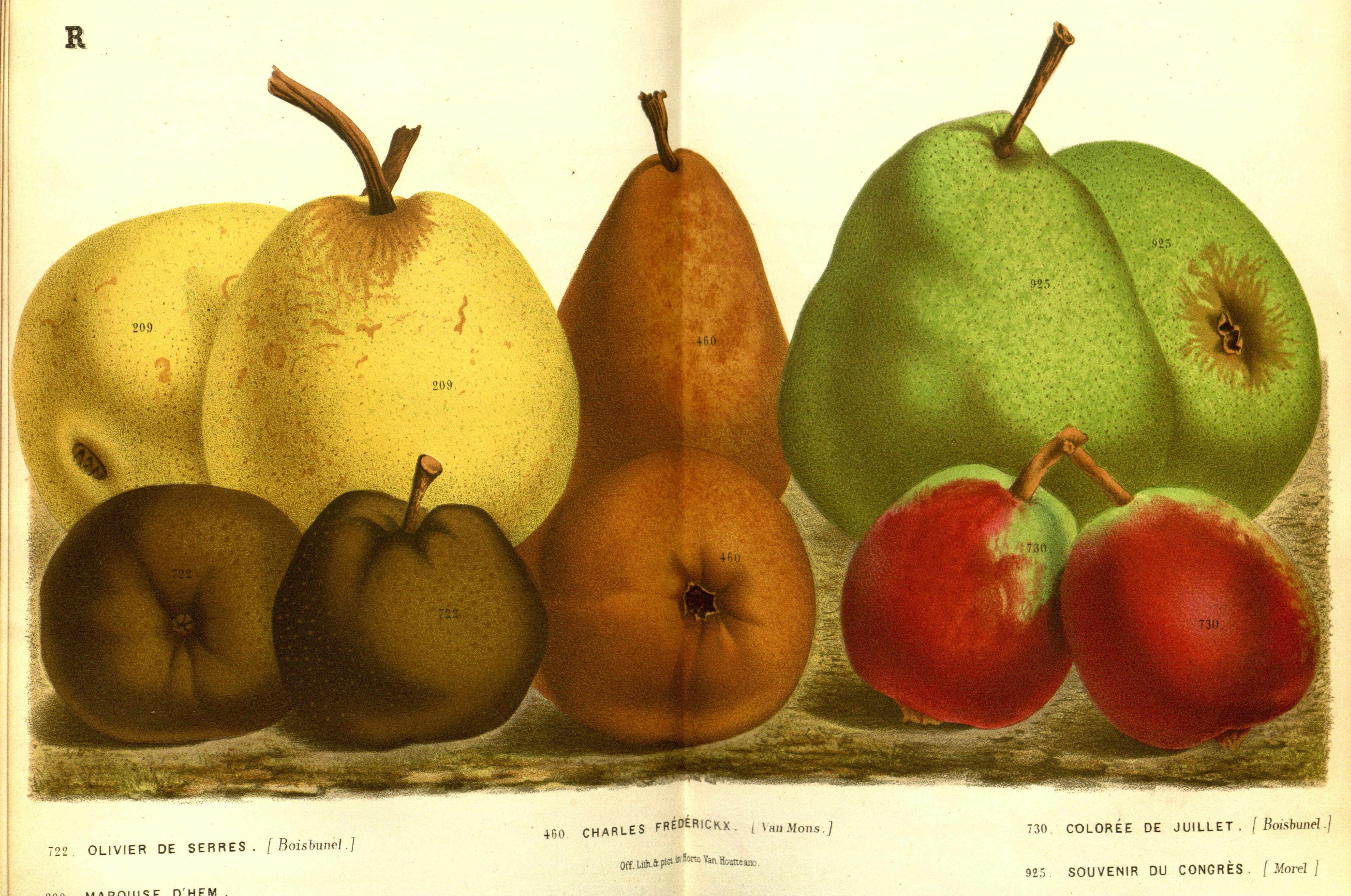 no full size  illustration available (3a)