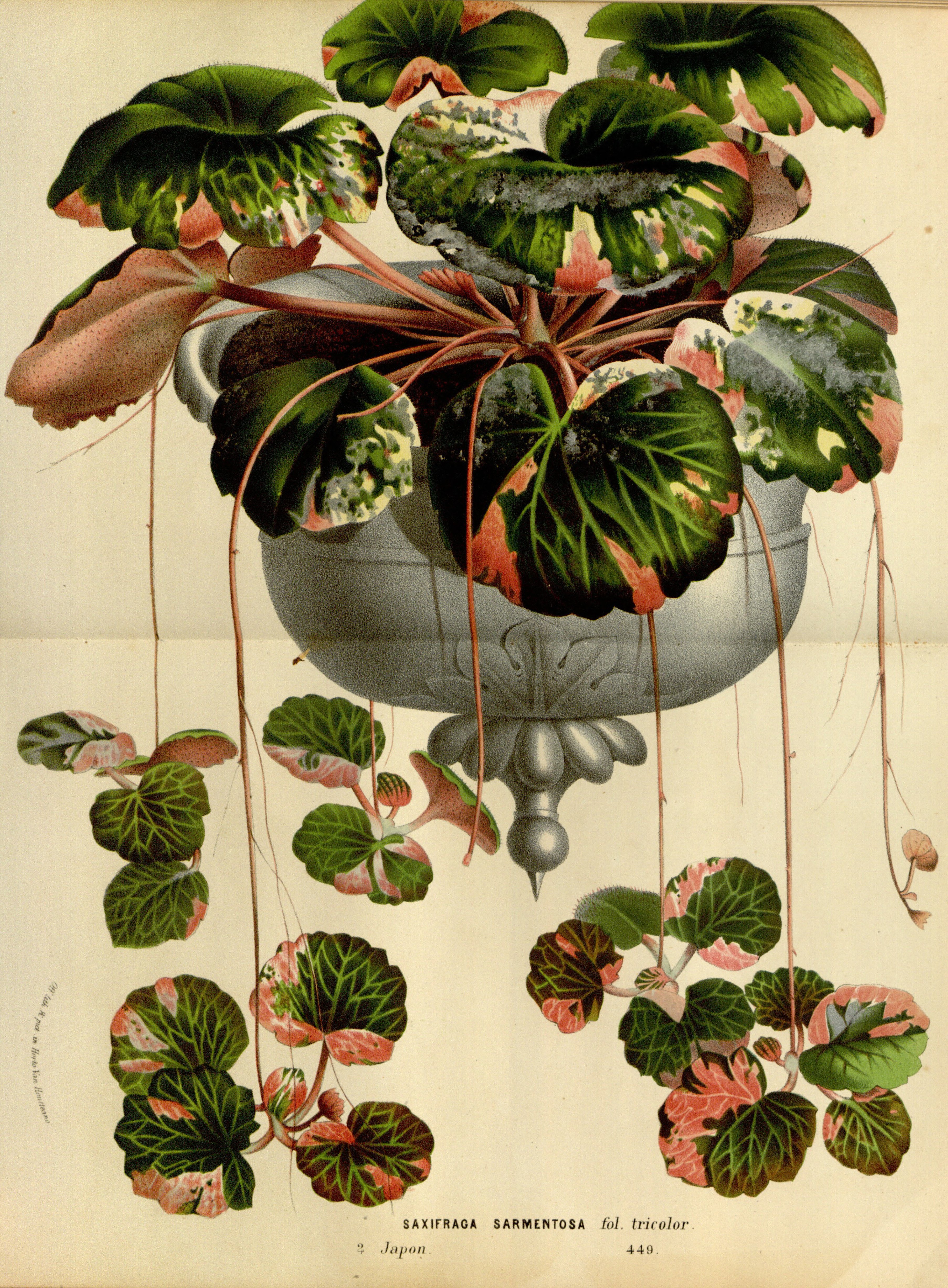 no full size  illustration available (3a)