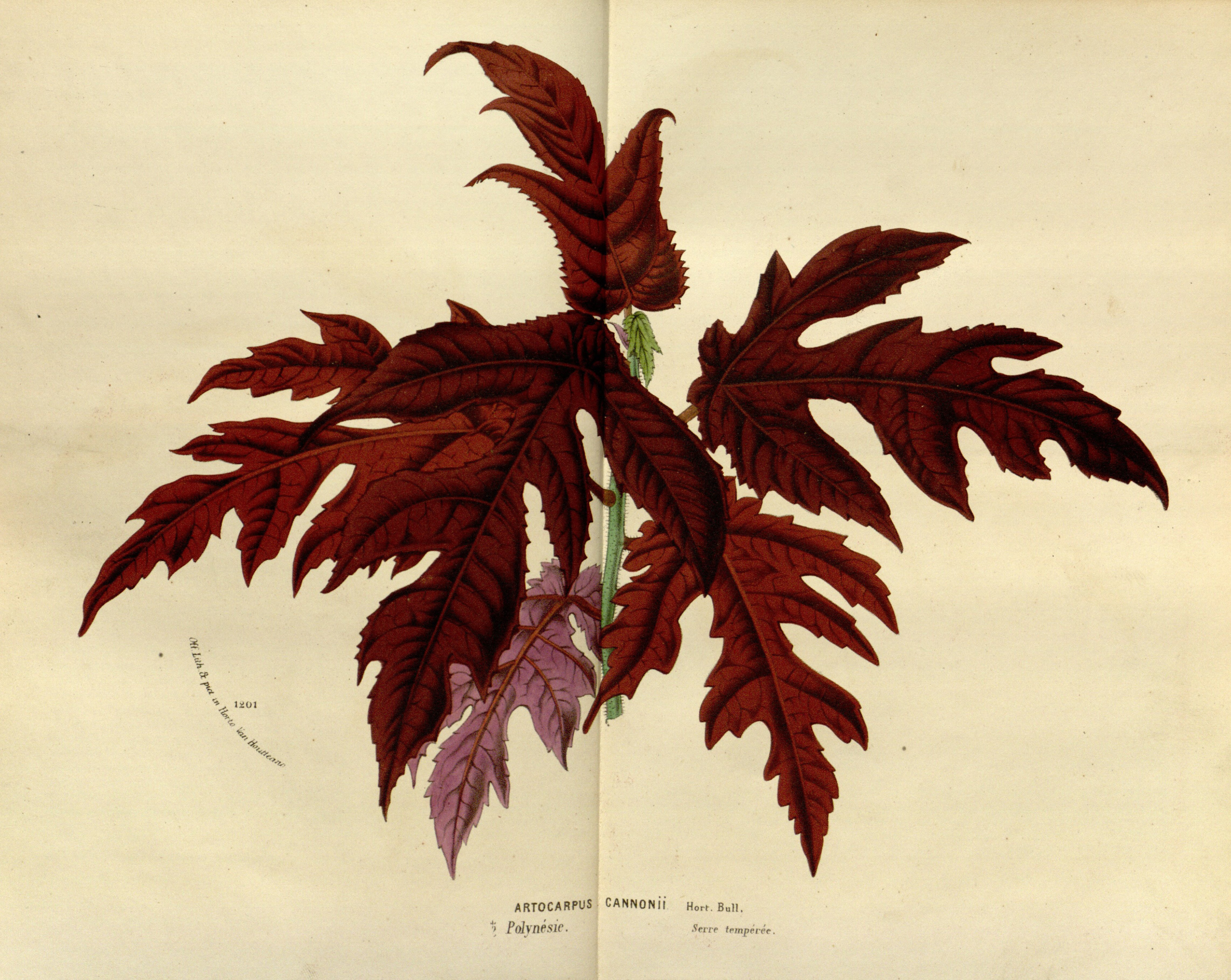 no full size  illustration available (3a)