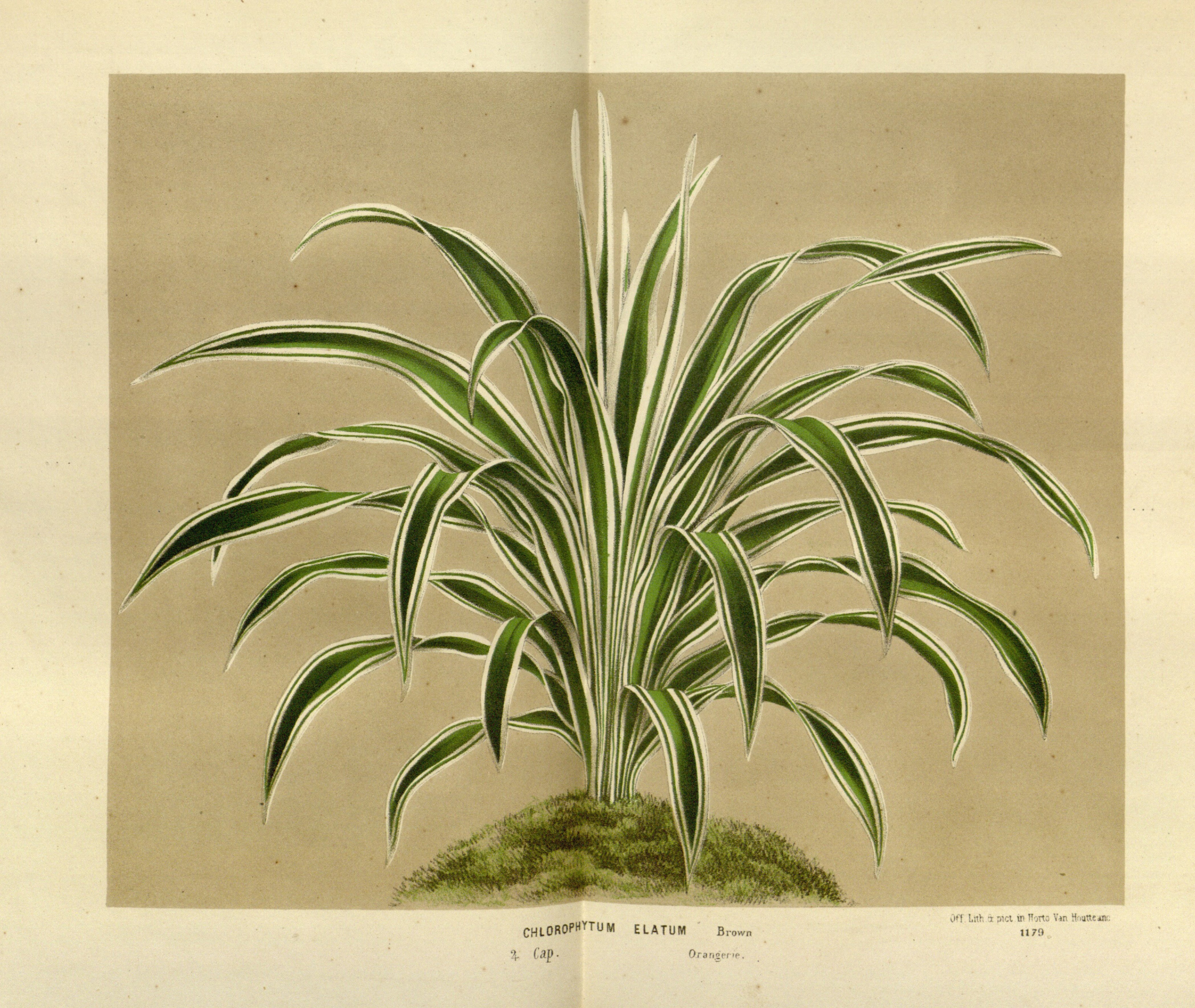 no full size  illustration available (3a)