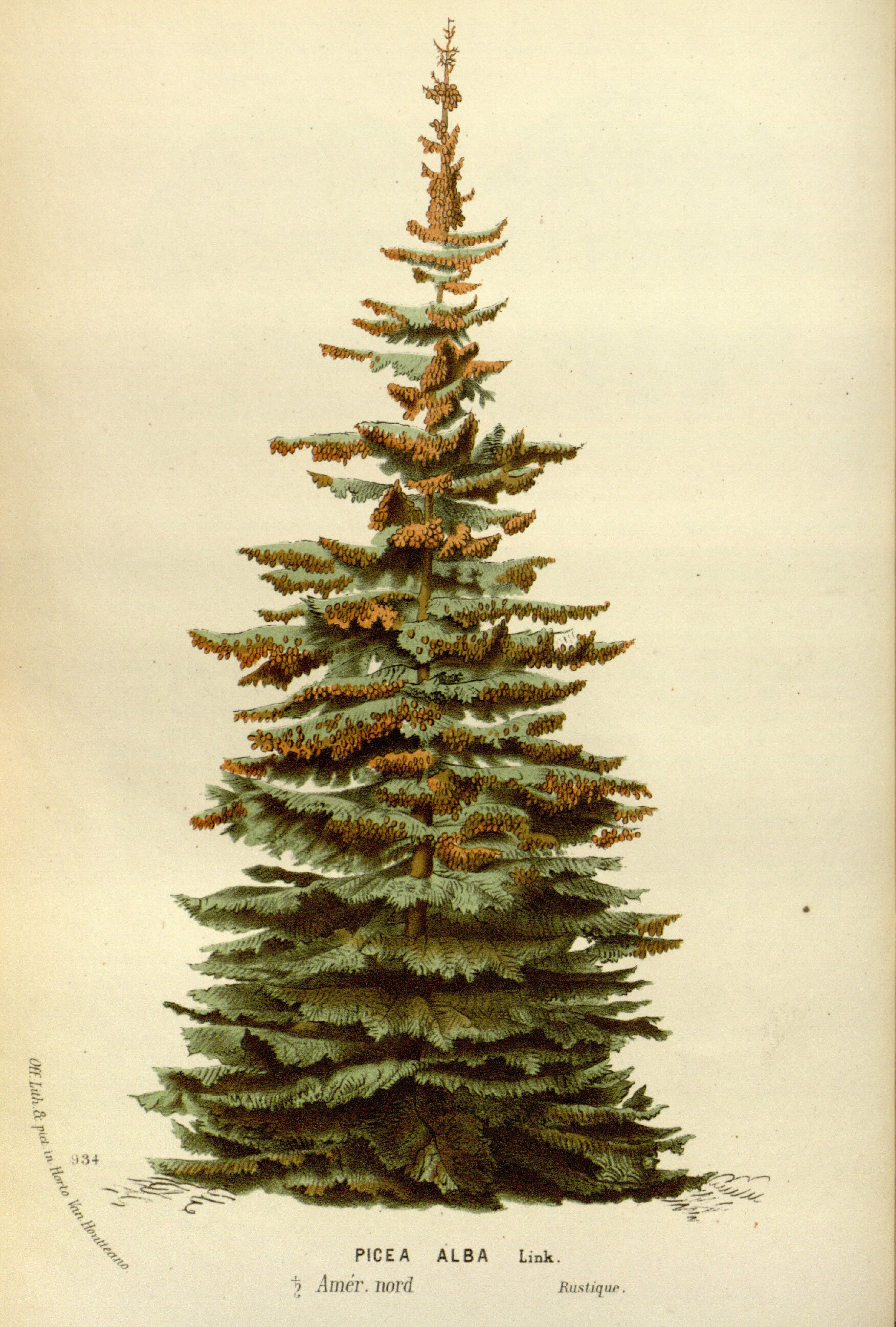 no full size  illustration available (3a)