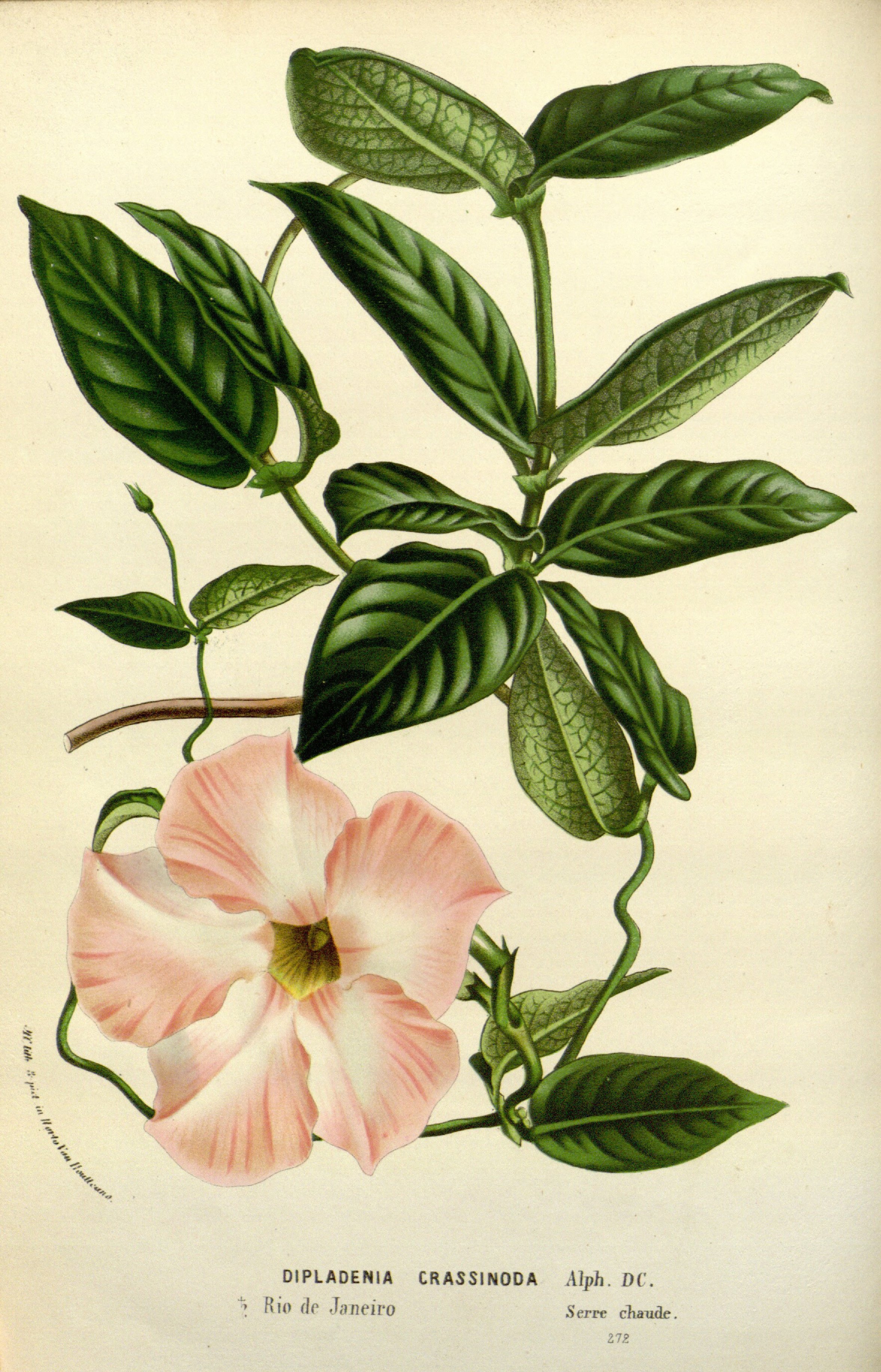 no full size  illustration available (3a)