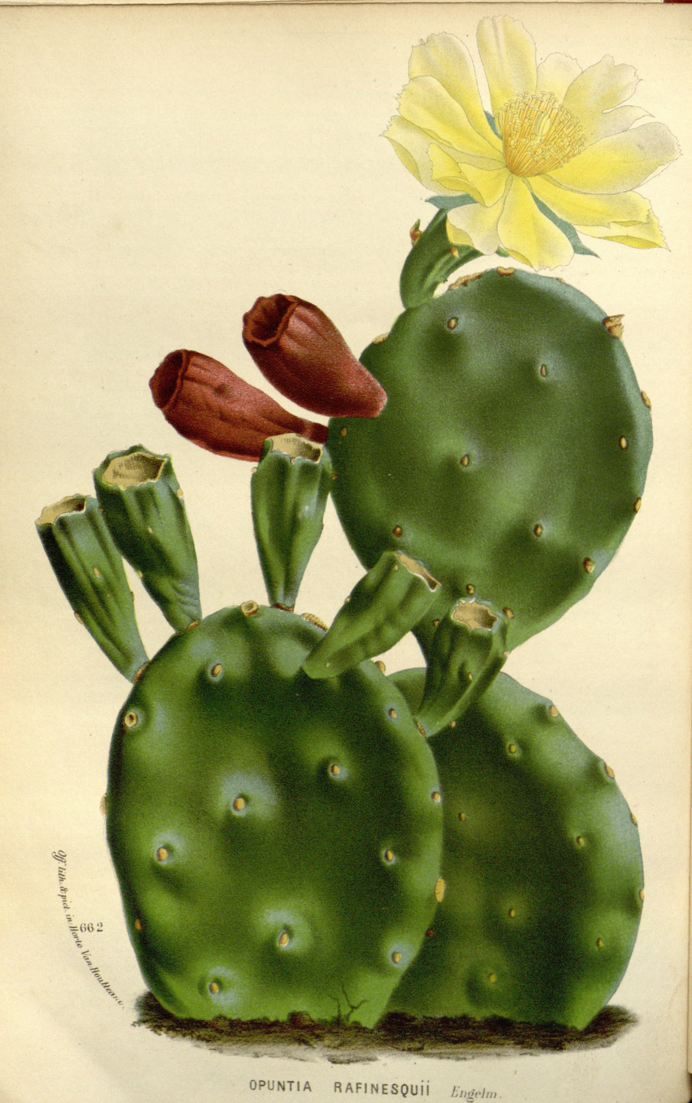 no full size  illustration available (3a)