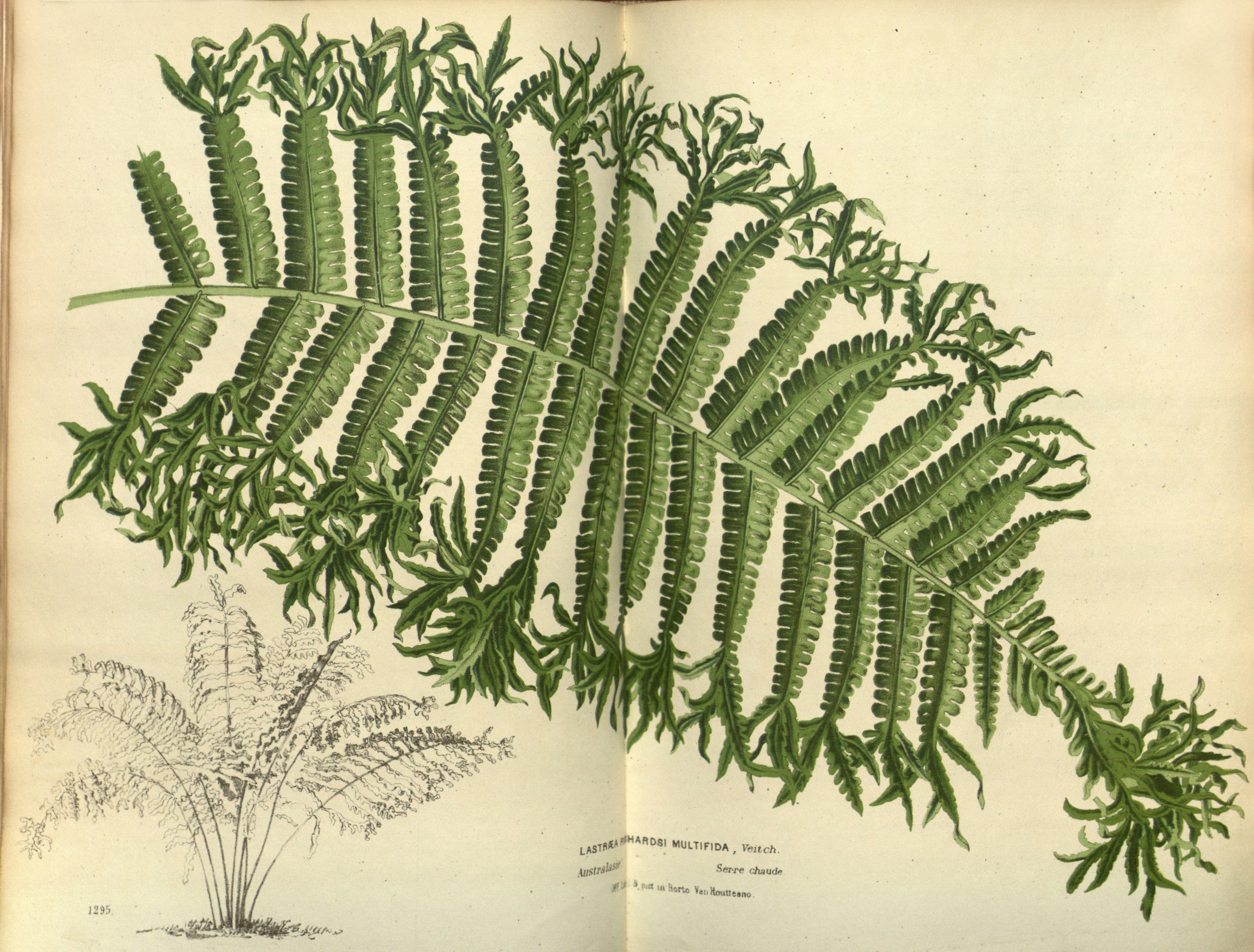 no full size  illustration available (3a)